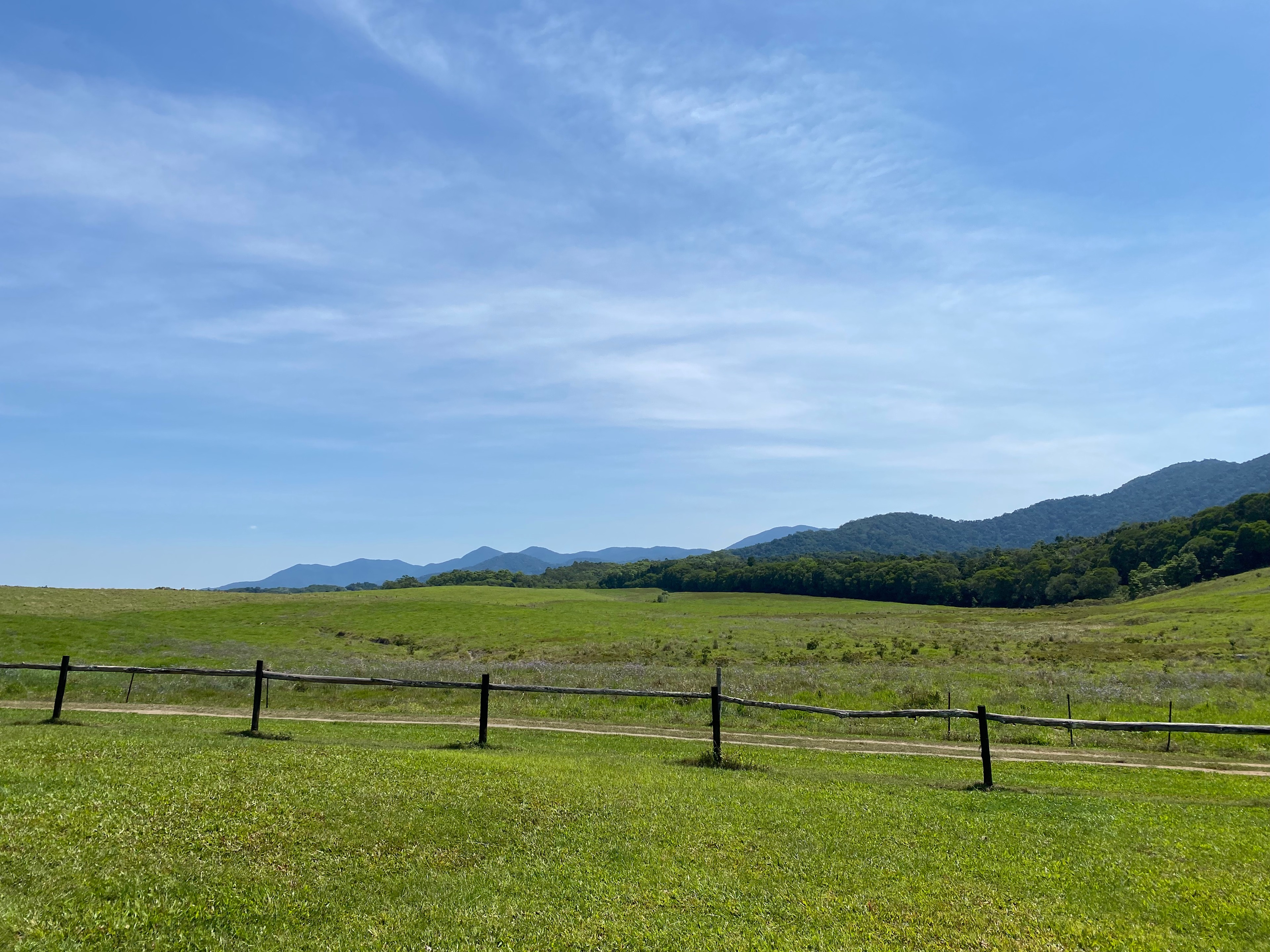 The Meadow