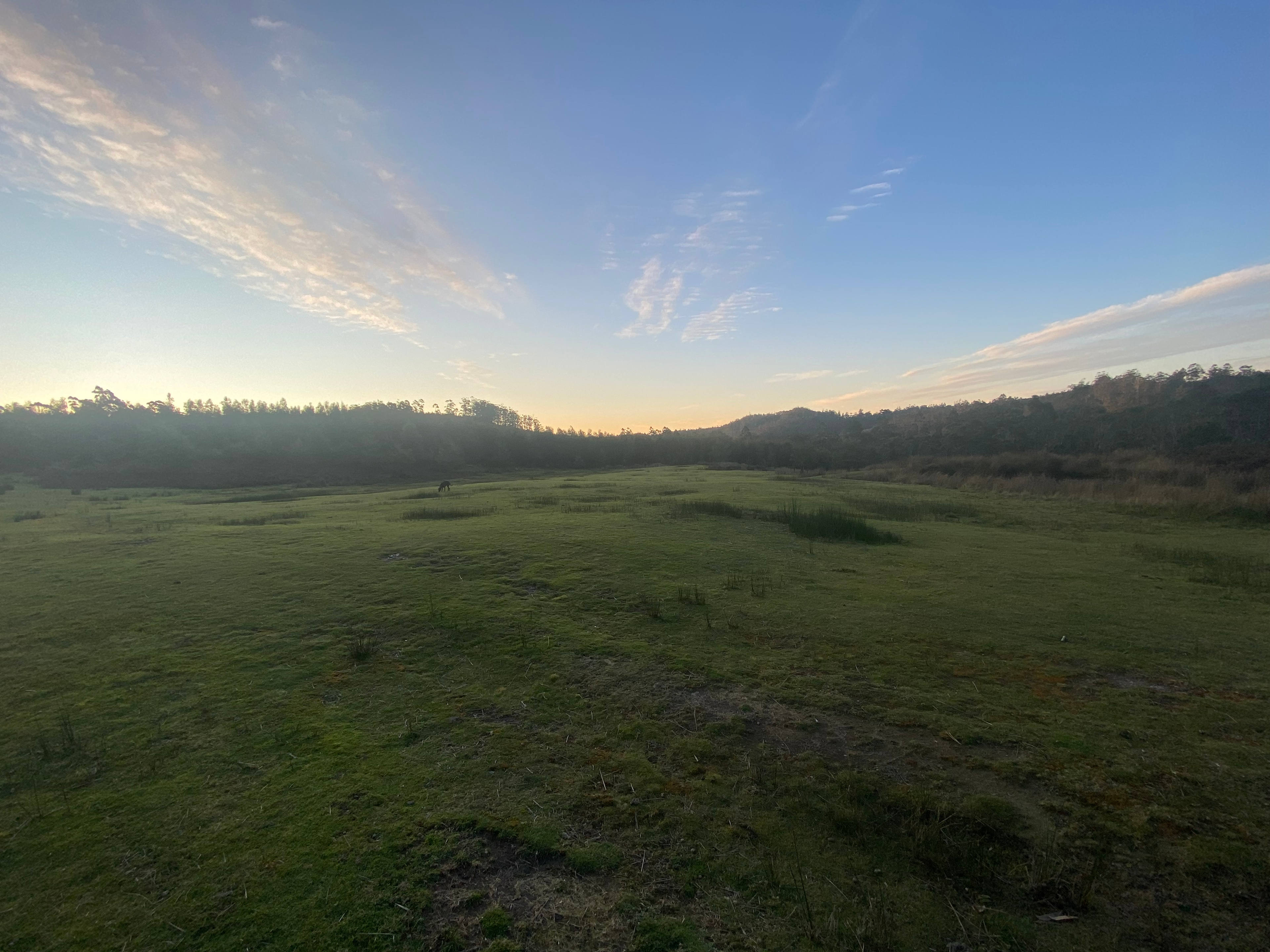 Open area for campers