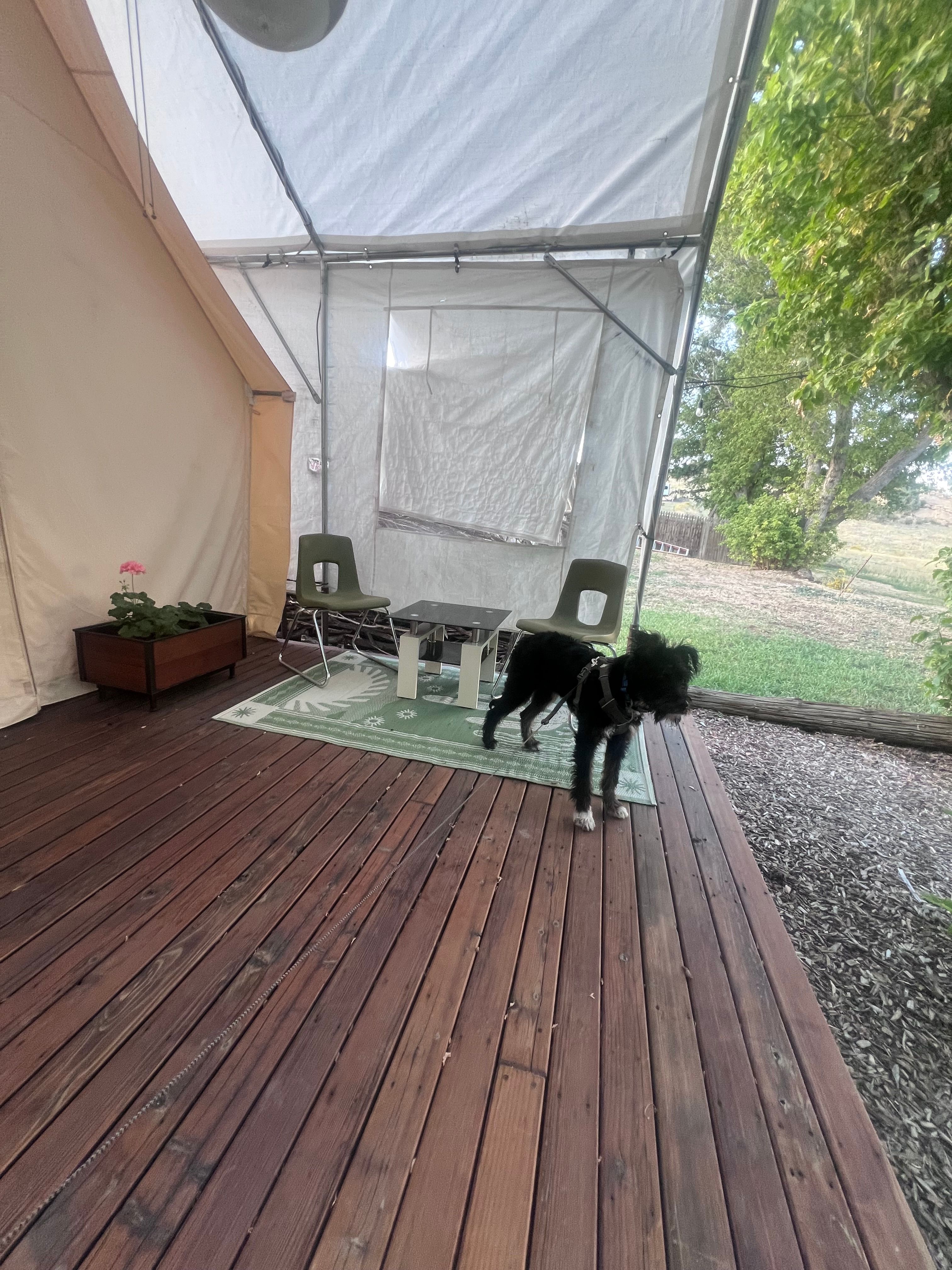 Red Rocks Glamping & RV Sites