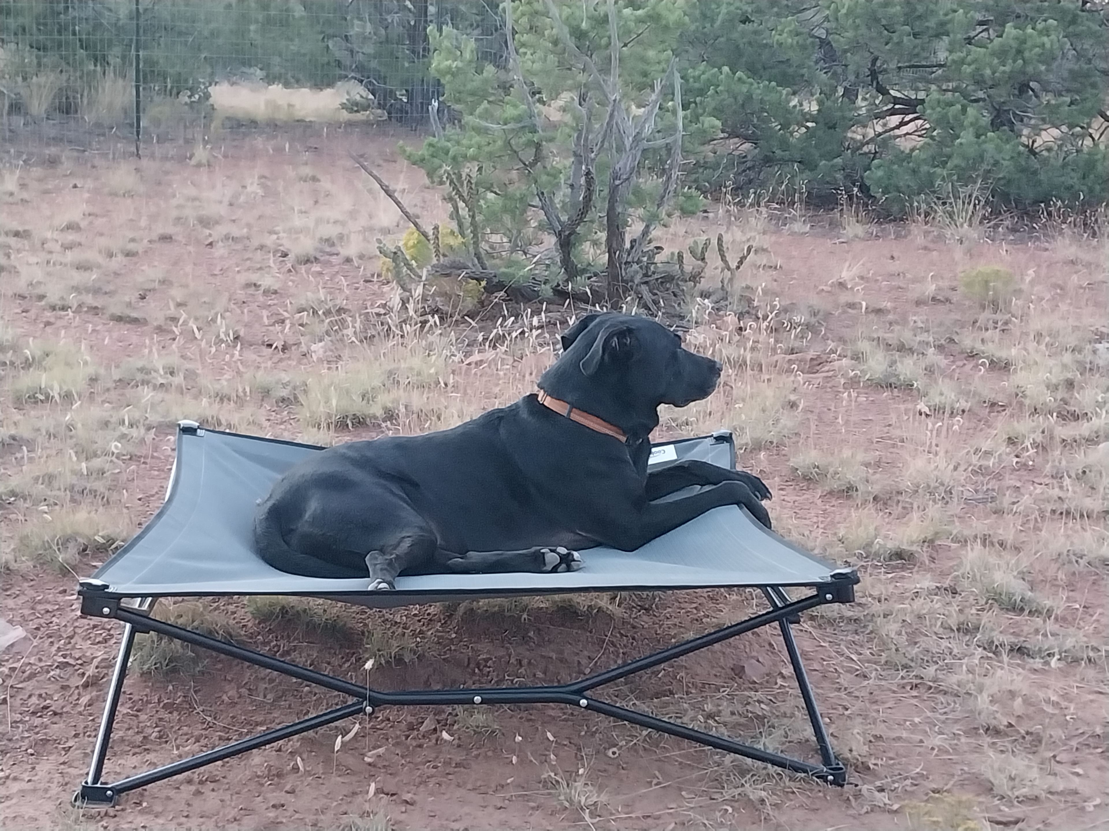 Santa Fe Ridgetop Oasis - Hike In