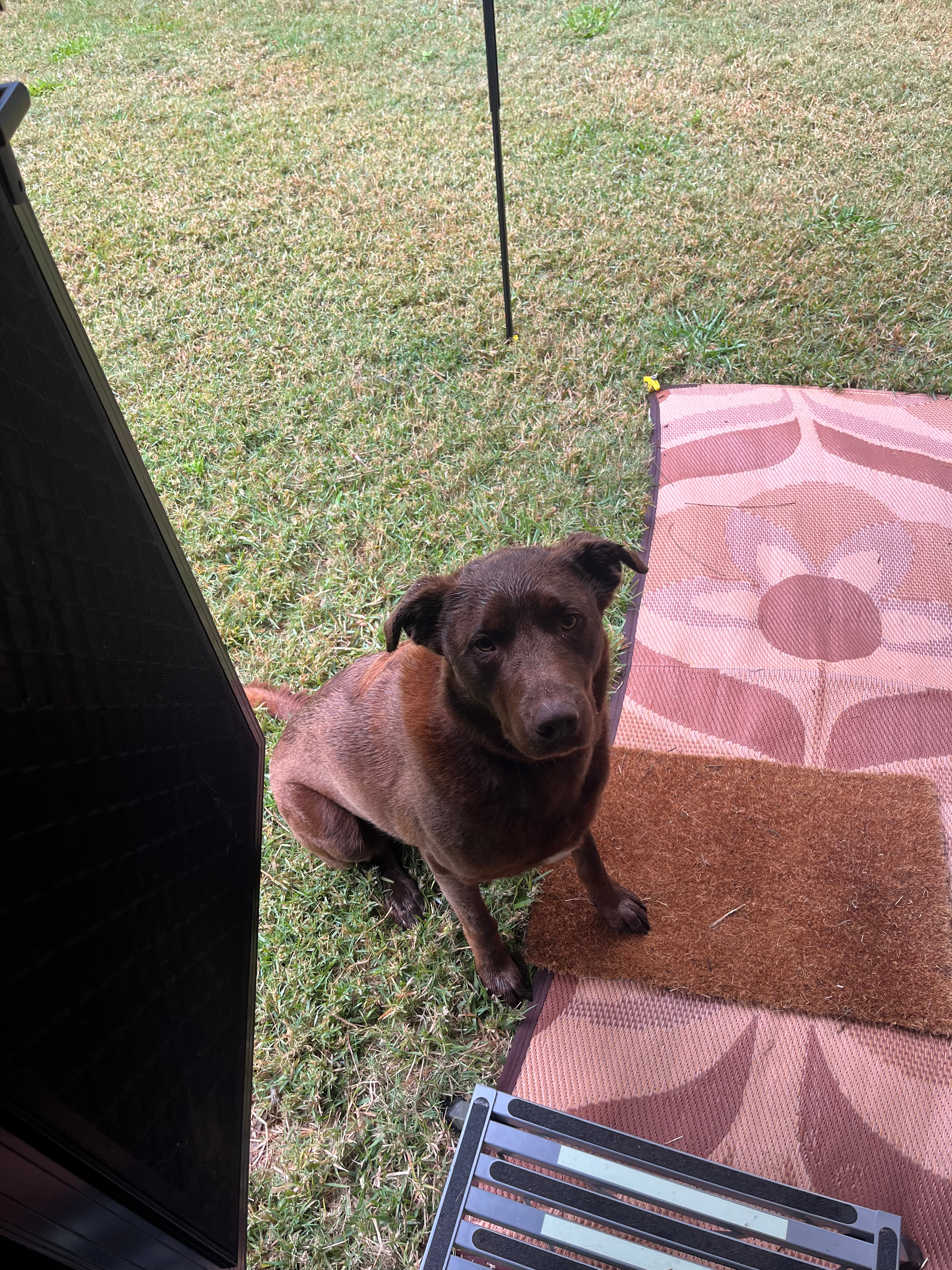 Riverlea Green,  Nambucca Valley