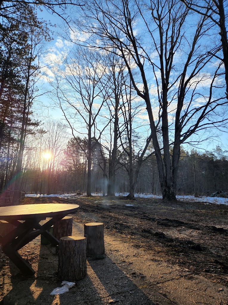 Forest Oasis Camping Resort