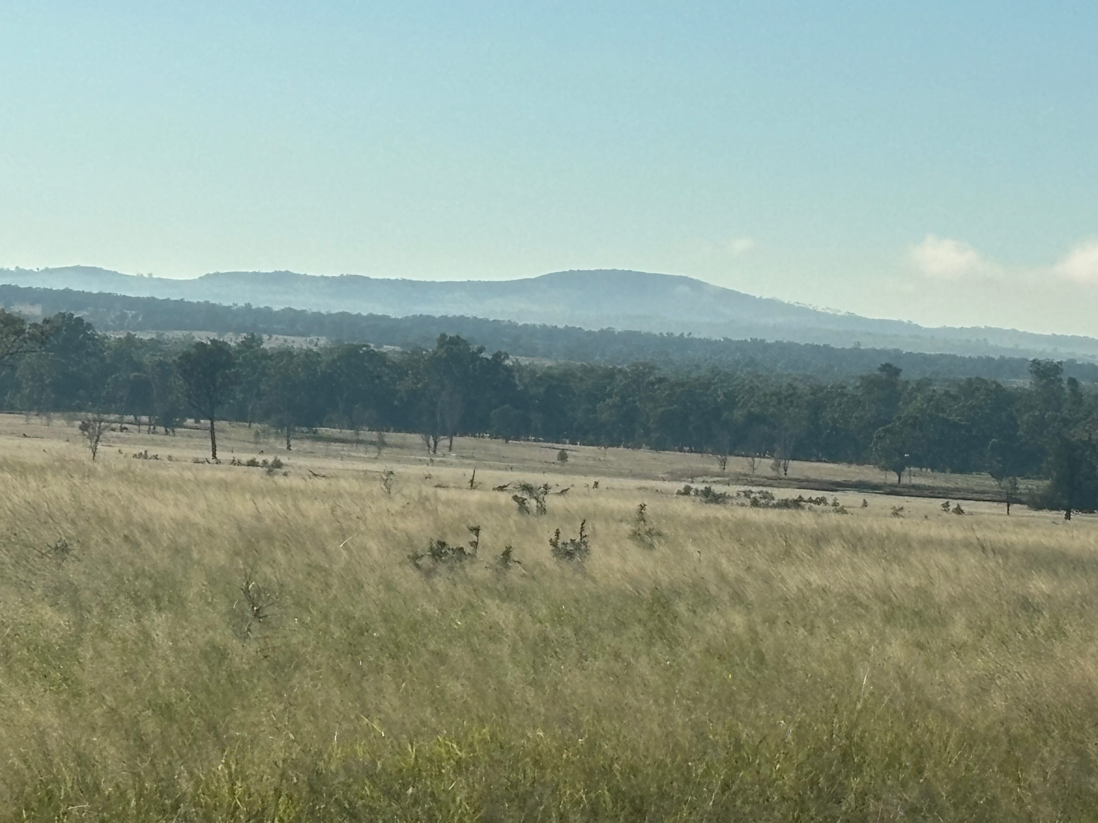 El Dorado Farm Visit