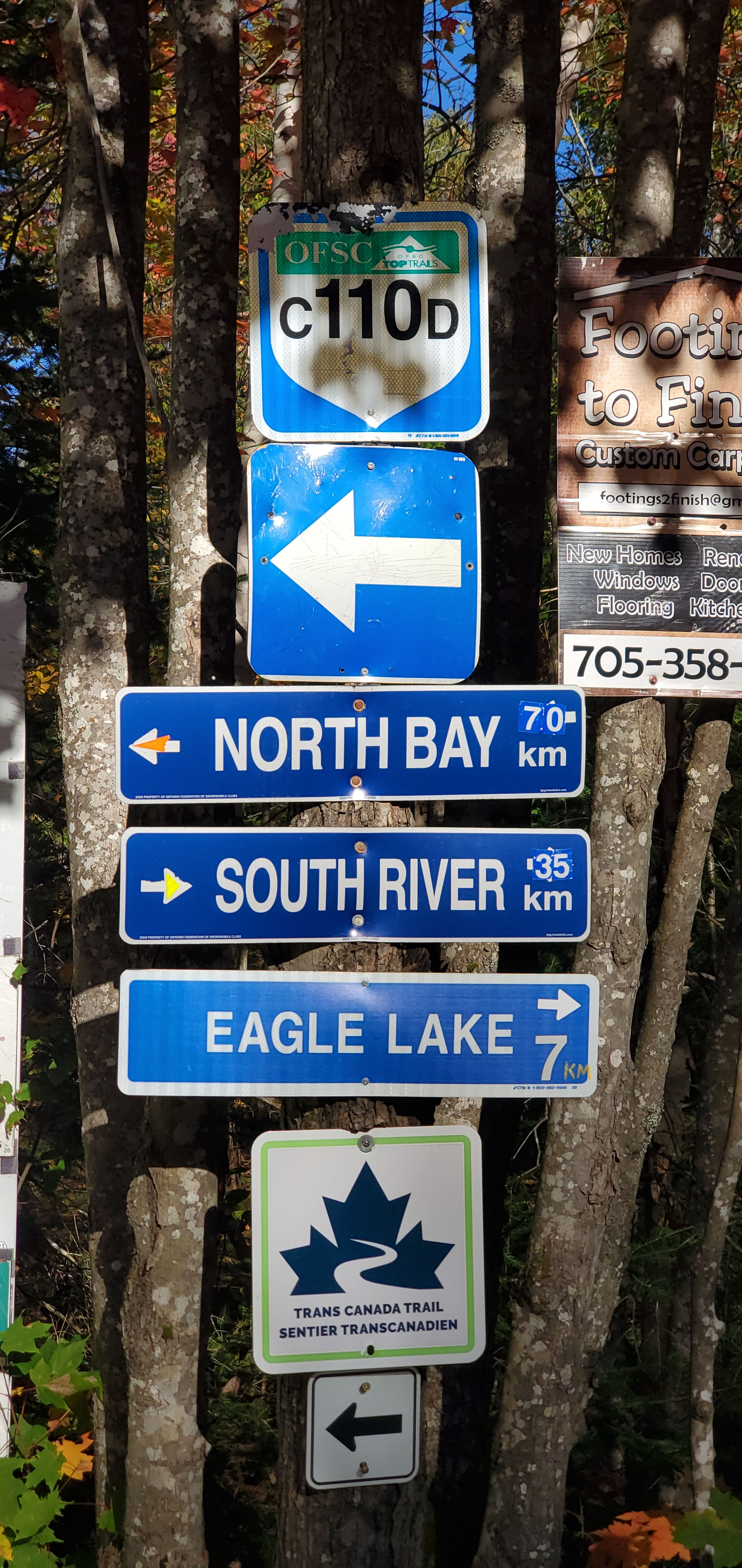 Off -Grid Forest Retreat