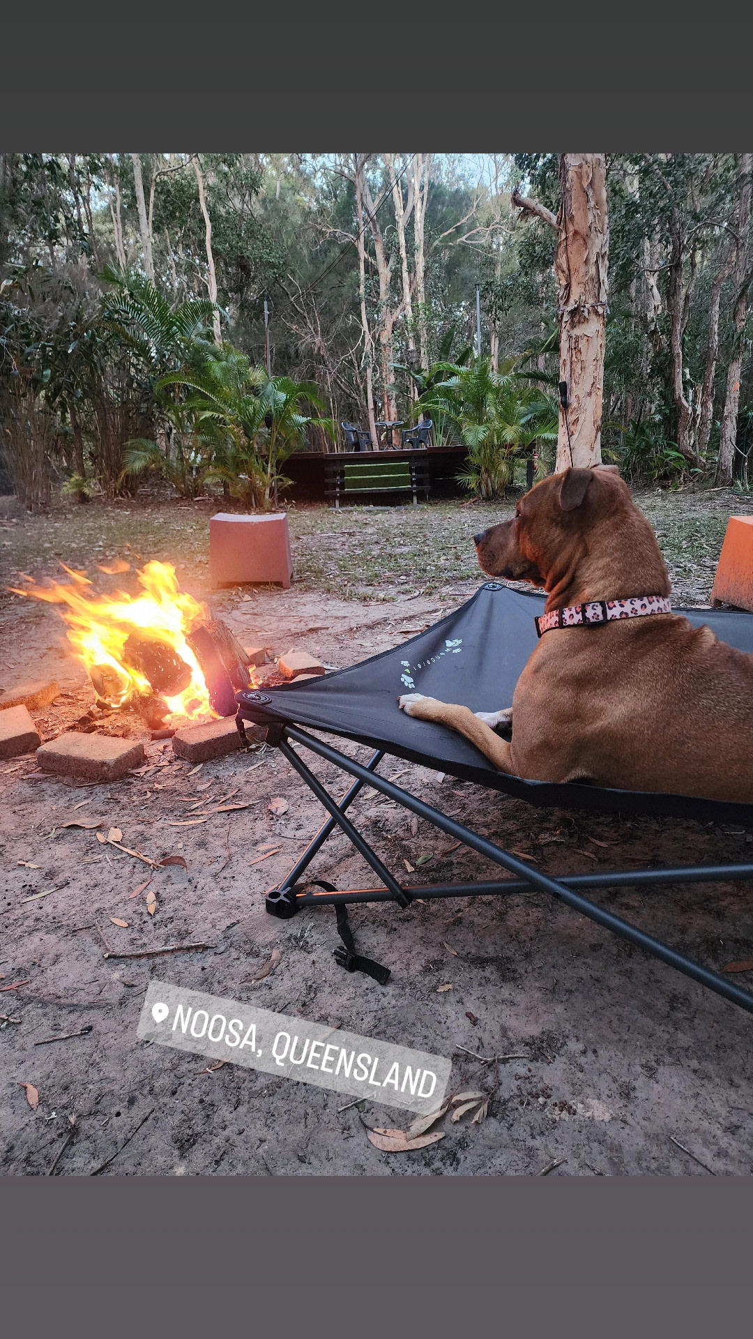 Noosa  Hinterland RV and Hip Camp