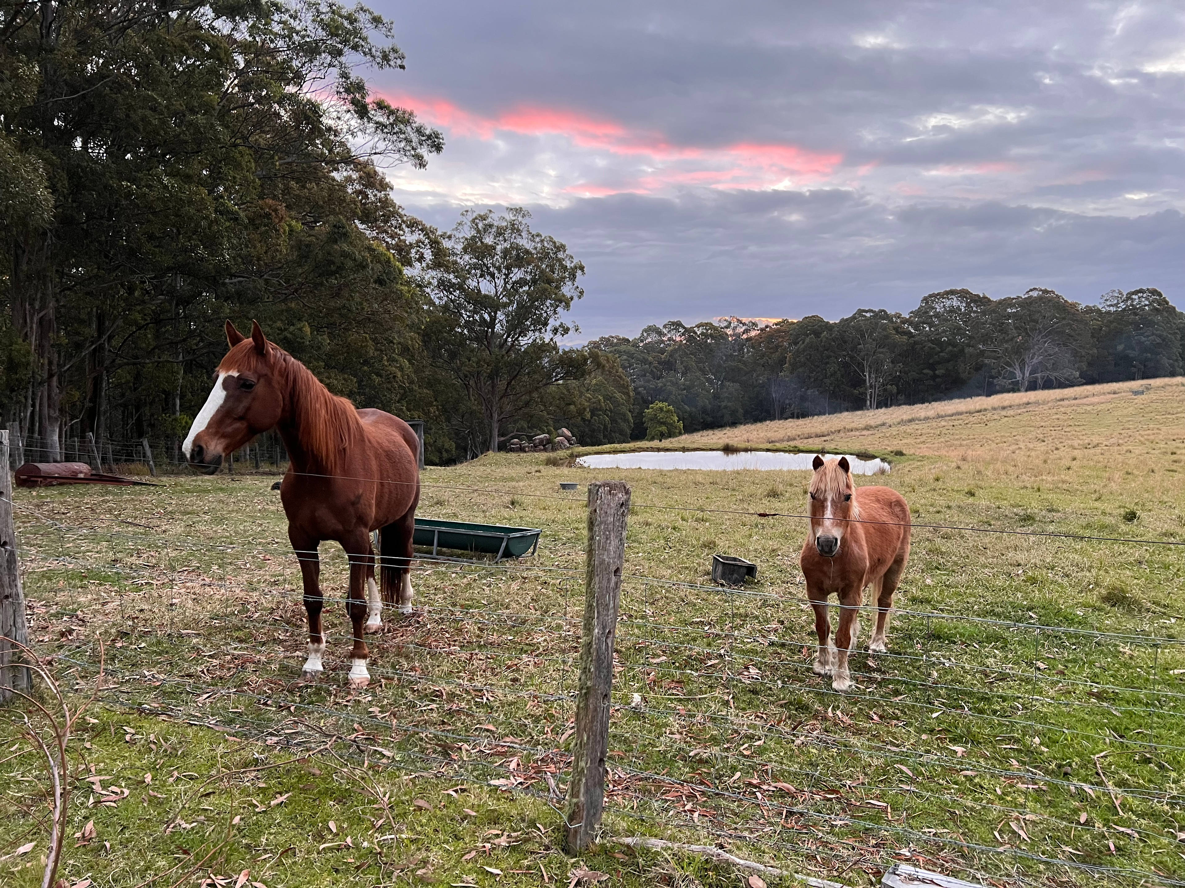 Faraway Farm