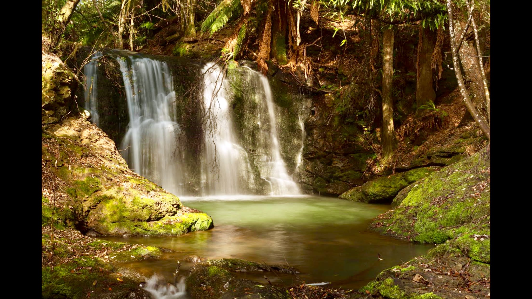 🐞🌿 Ladybug Camping 🌿🐞