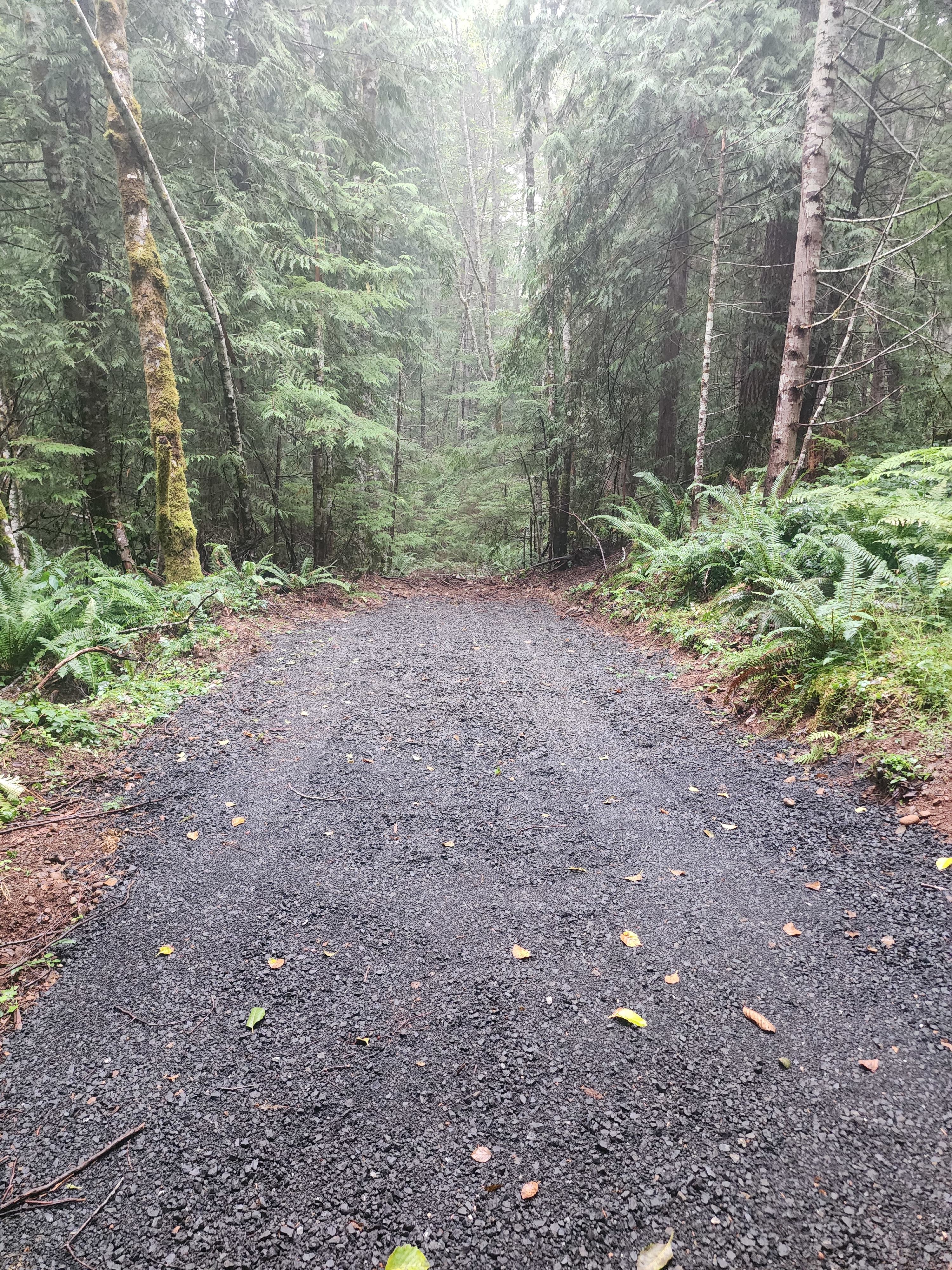 RV site 24 feet long and approximately 8 feet wide