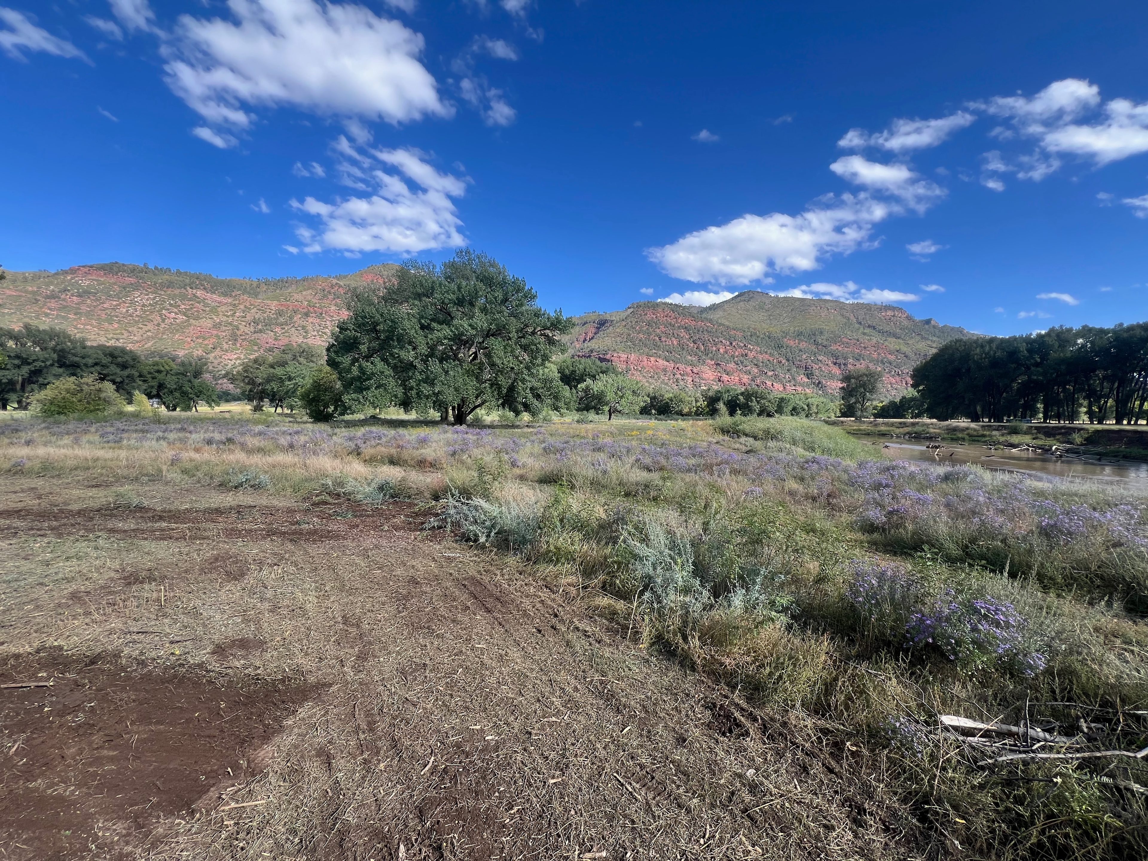 Riverside Glamping Retreat