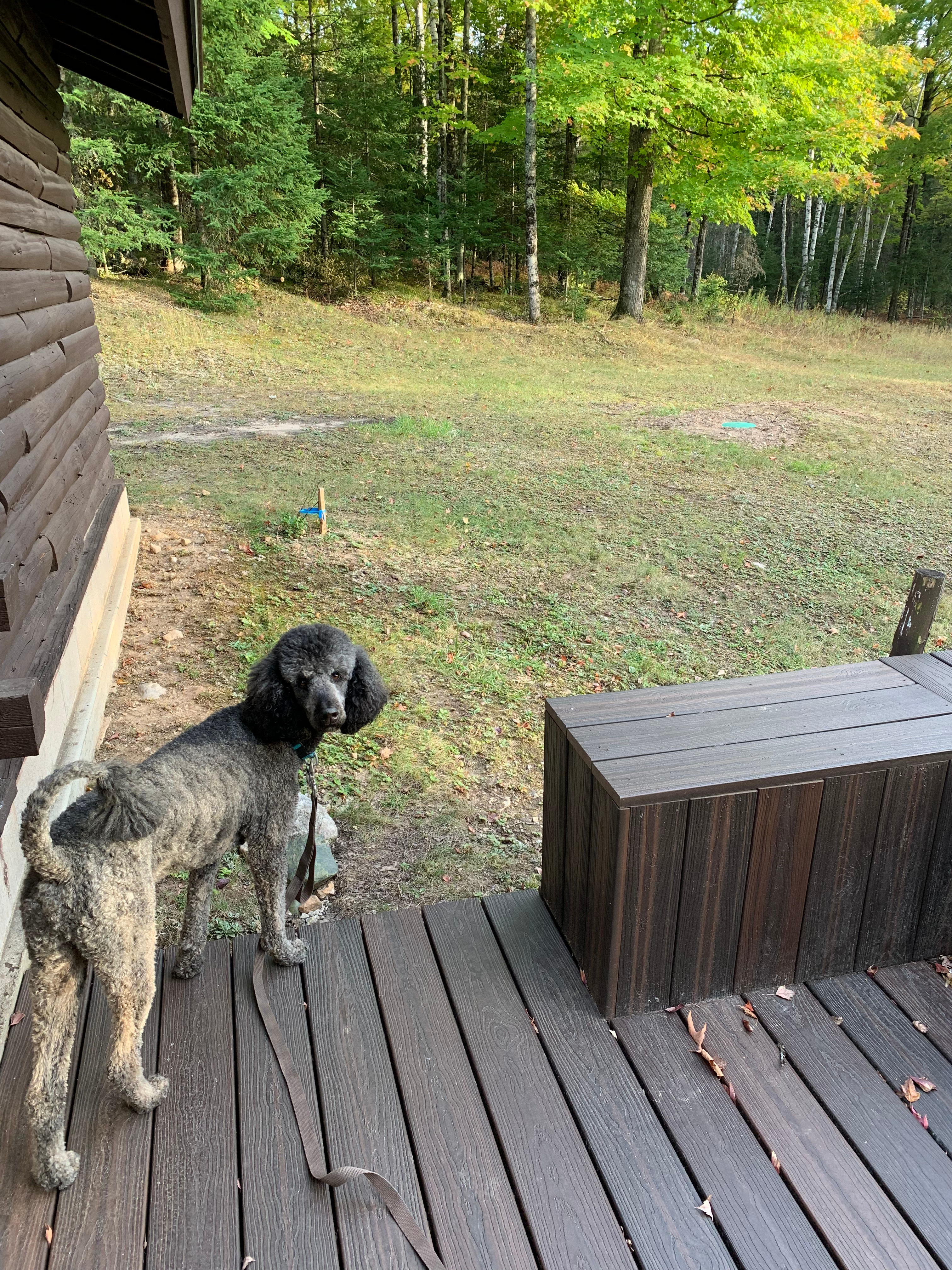 Lost Lithuanians Camp