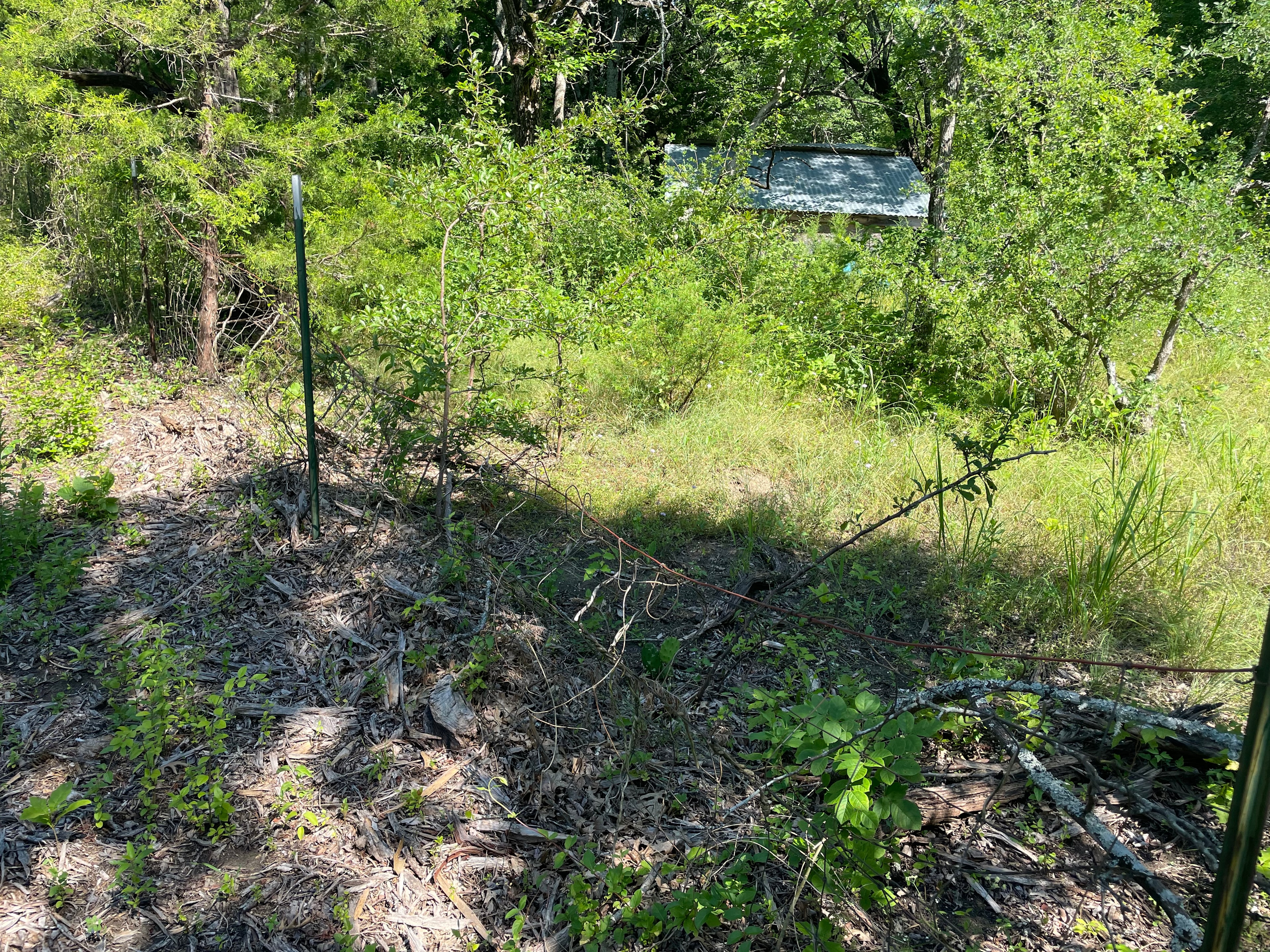 The Marlin Spike On The Prairie