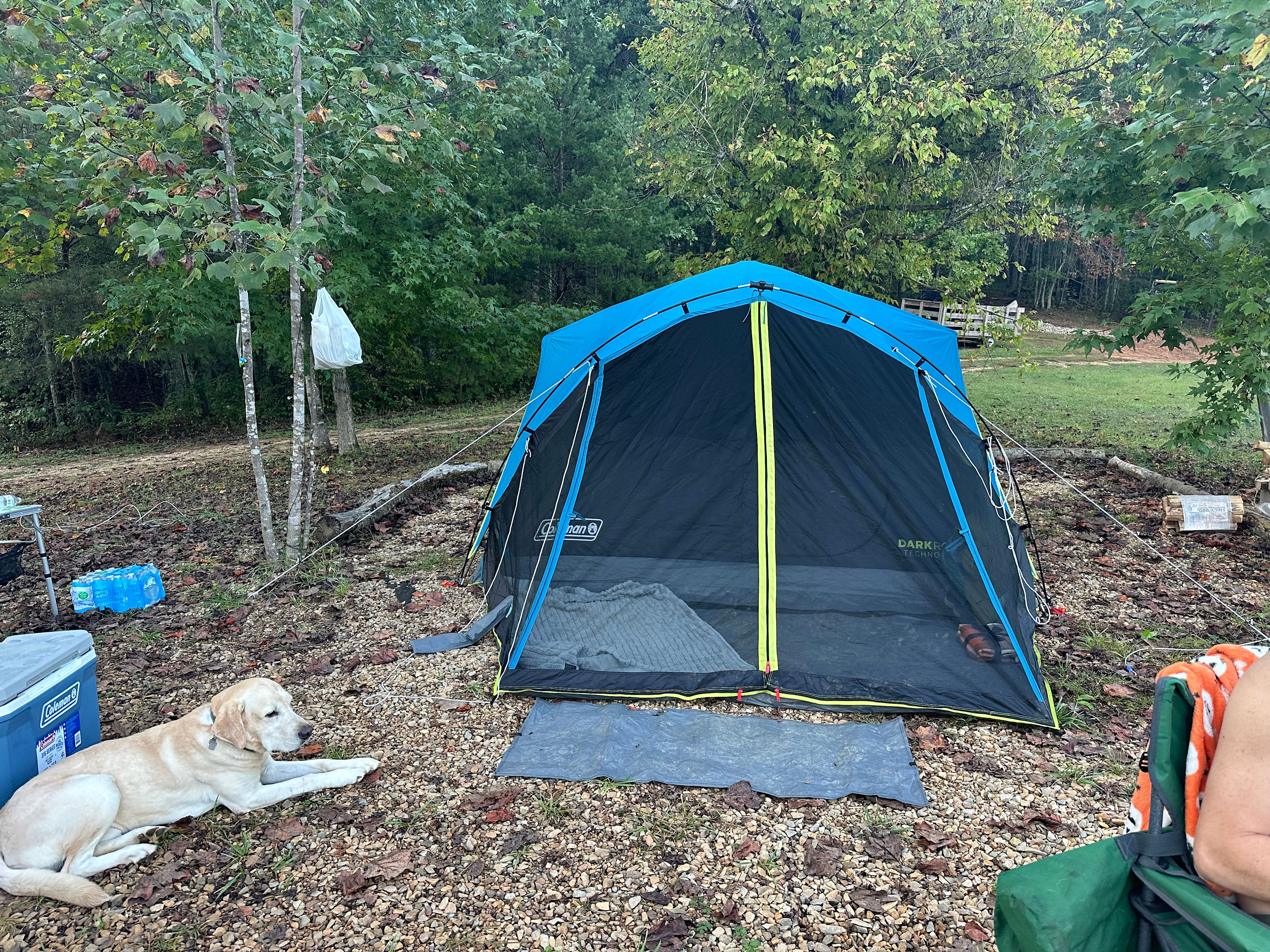 Honeysuckle Springs Smoky Mountains