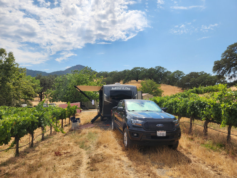 Vineyard Camping with Dome Access