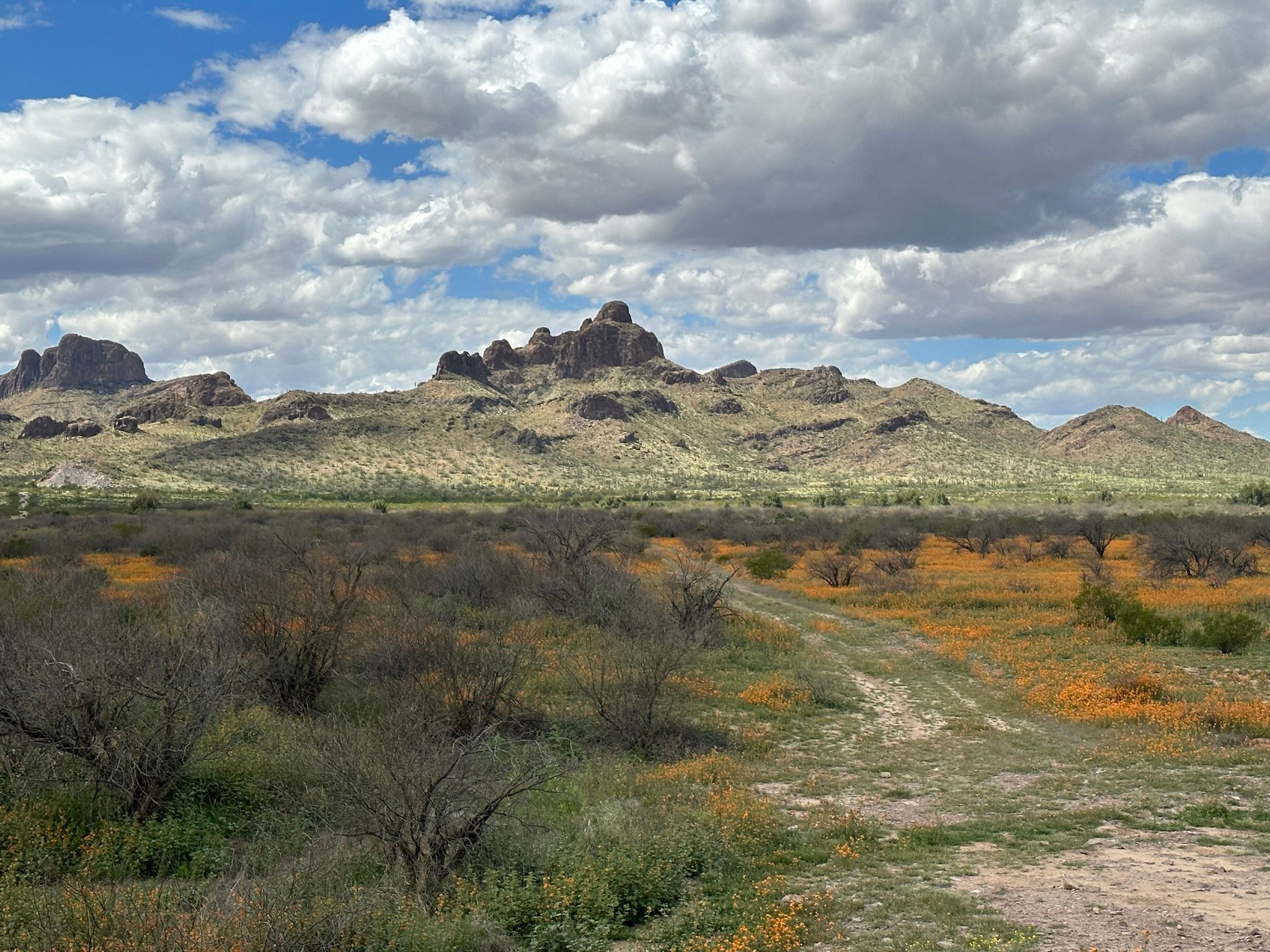 Sawtooth Mountain Farms