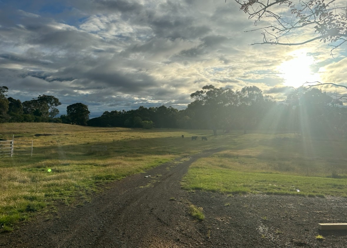 The Ranch