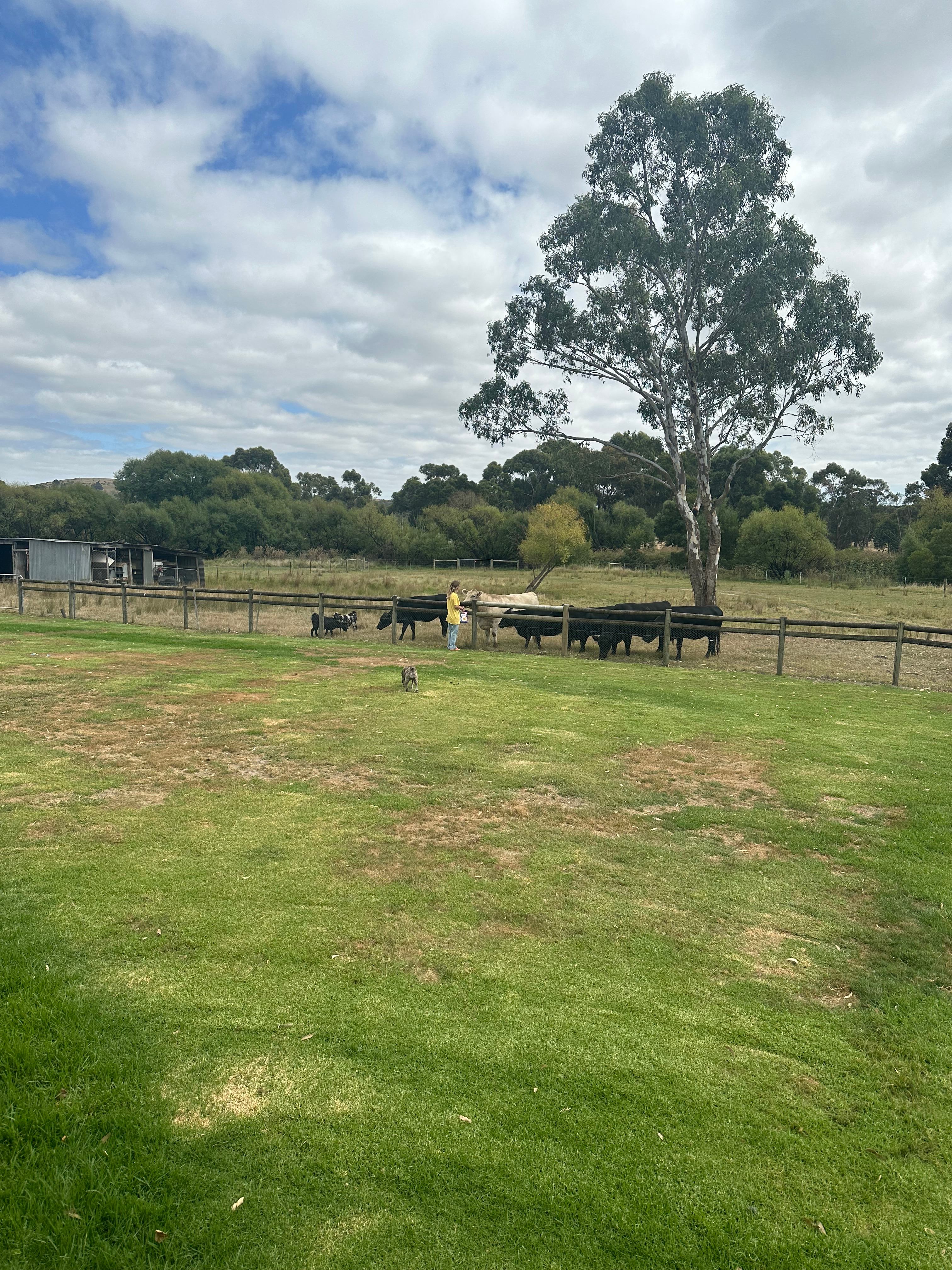 The Ranch