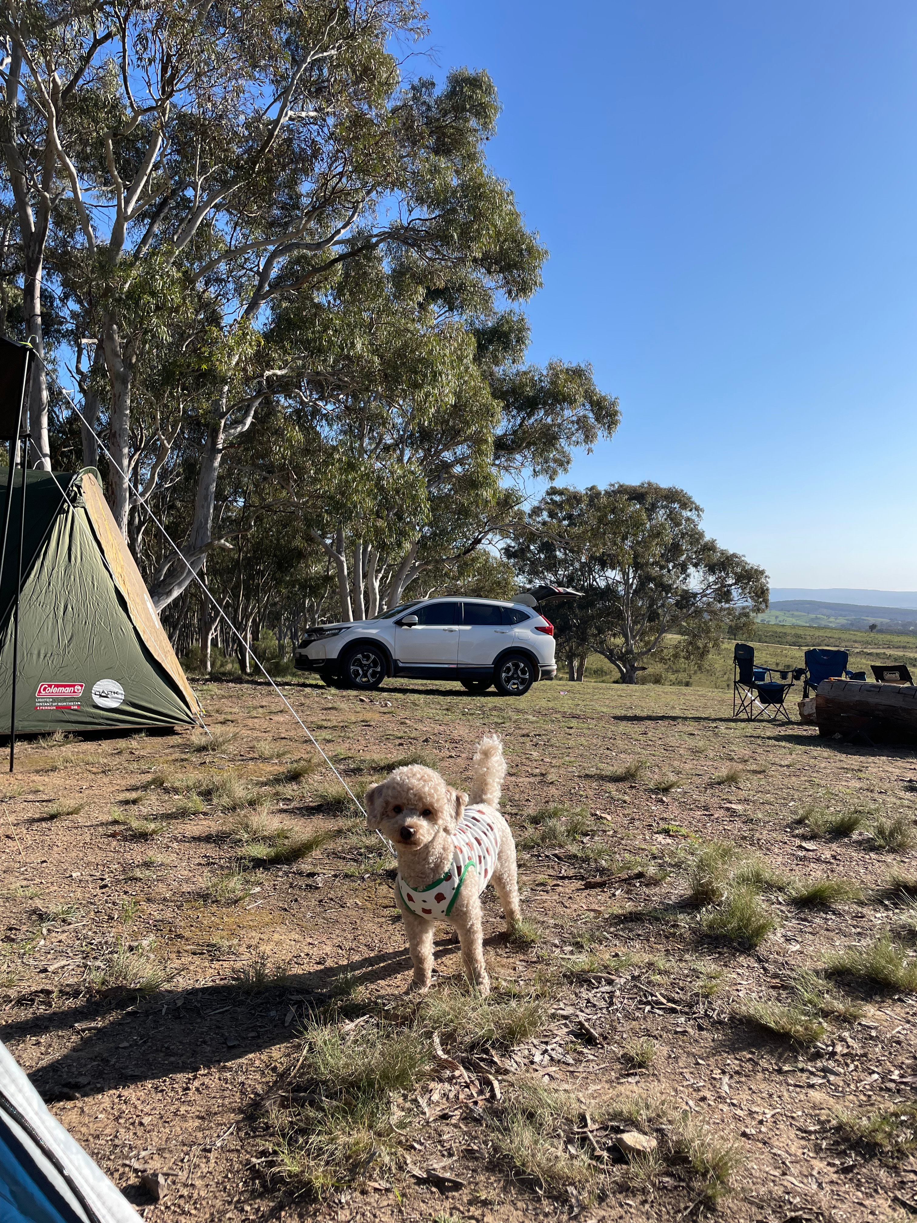 Mount Testa Campgrounds