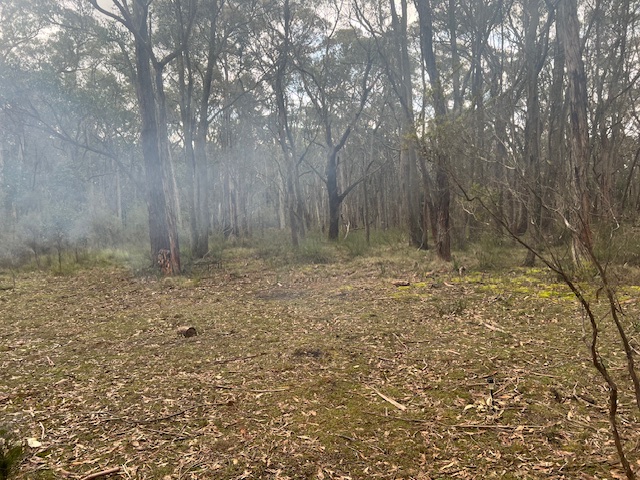 Kangaroo Kabin Nature Retreat