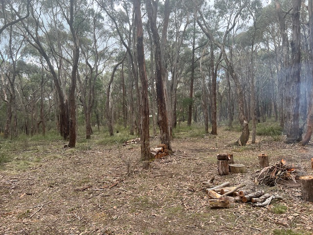 Kangaroo Kabin Nature Retreat