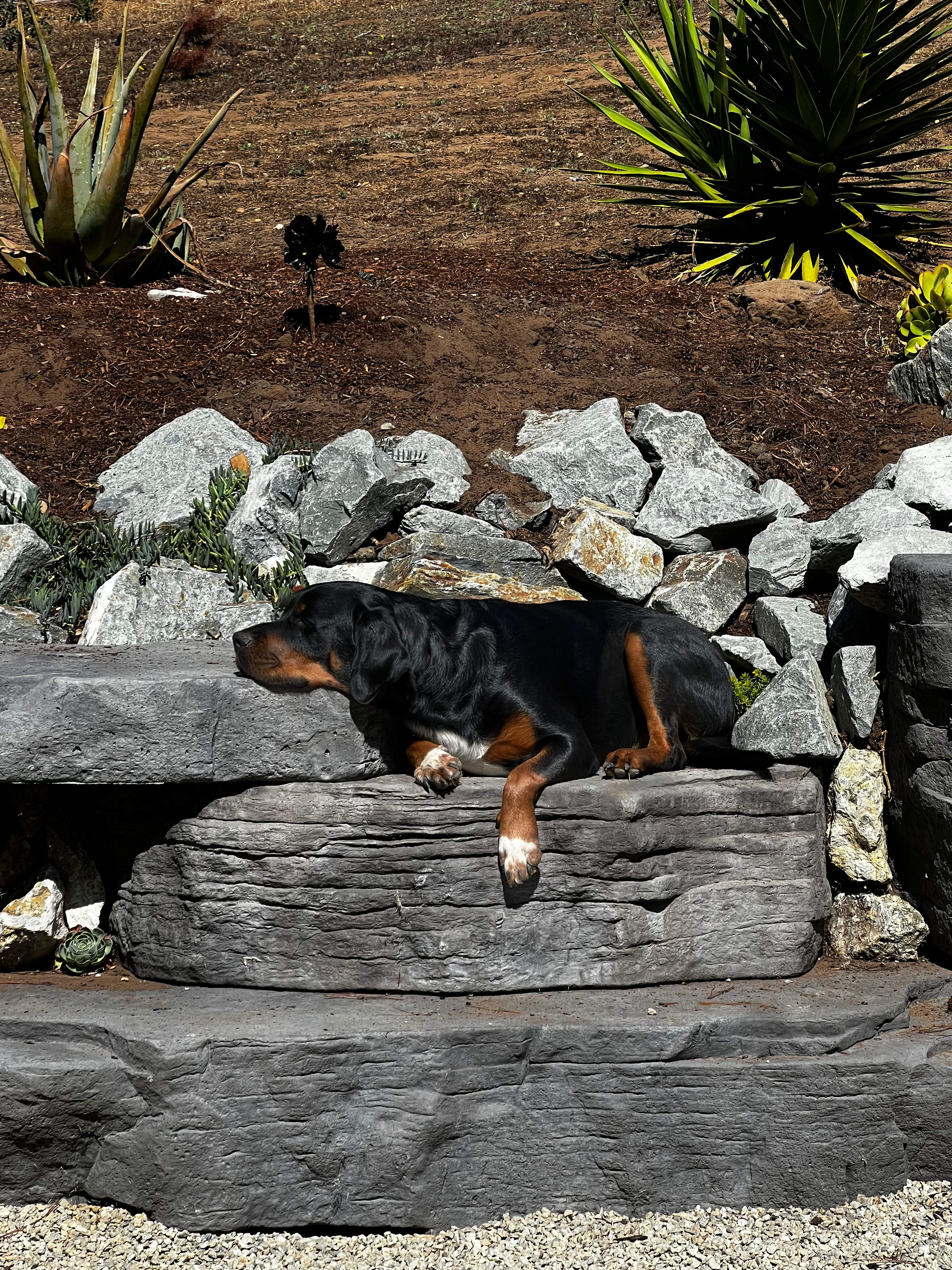 Driftwood Van and Tent Camping