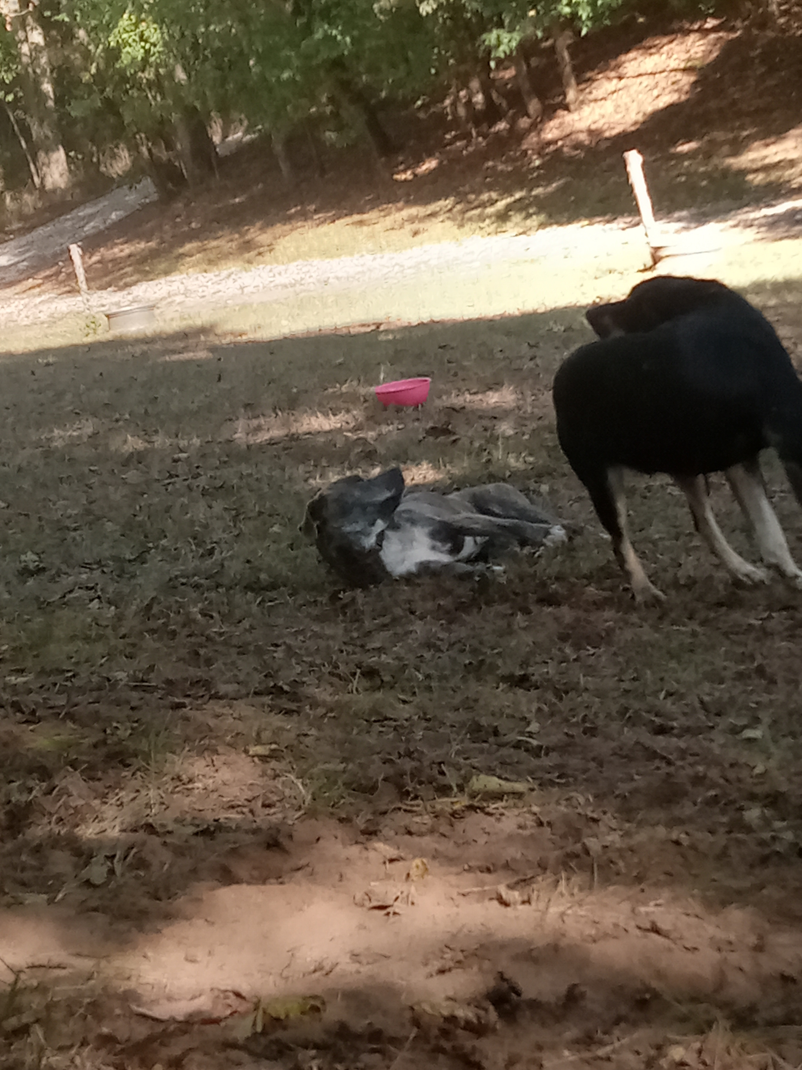 Kings Crossing RV Park & Campground