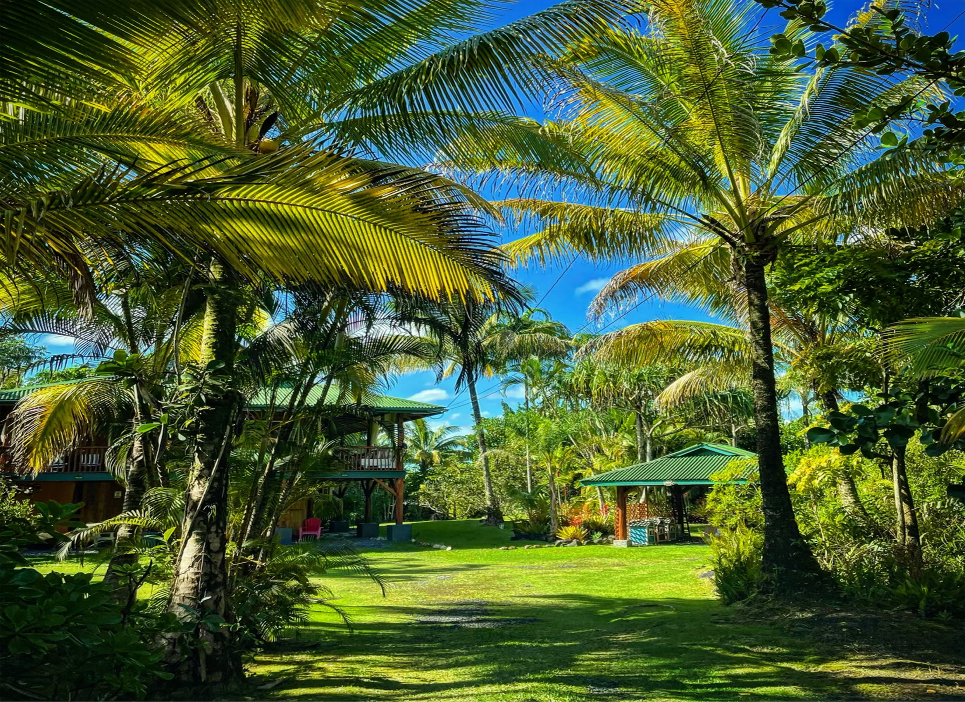 Casa by the Sea-Treehouse Vibe Ohia