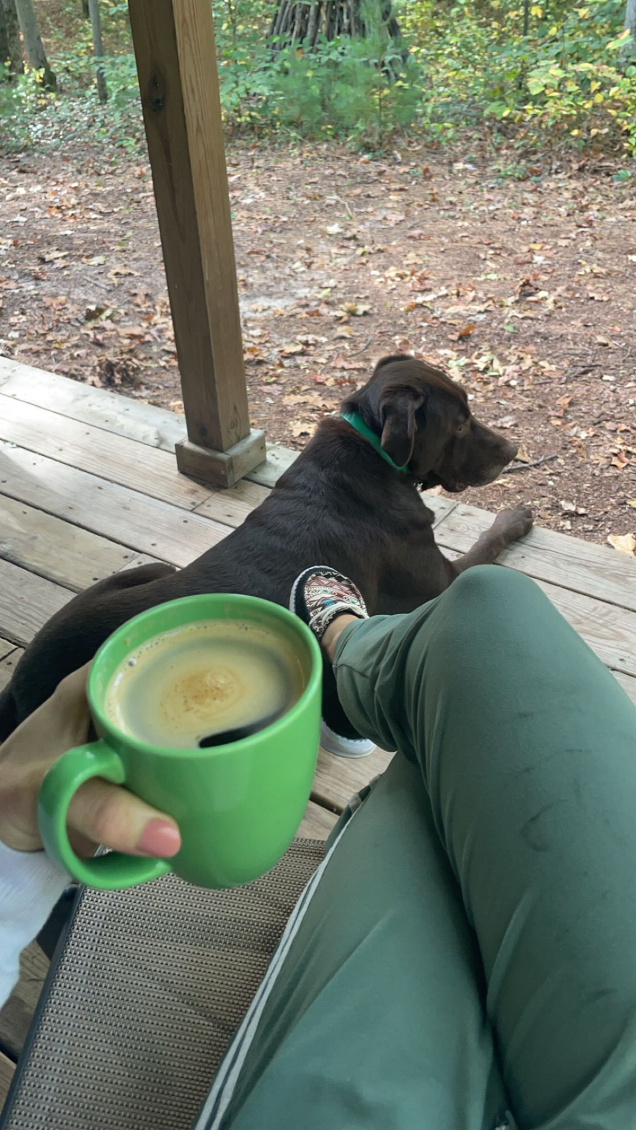 Dalton Traders  Tents  RV's  Cabins