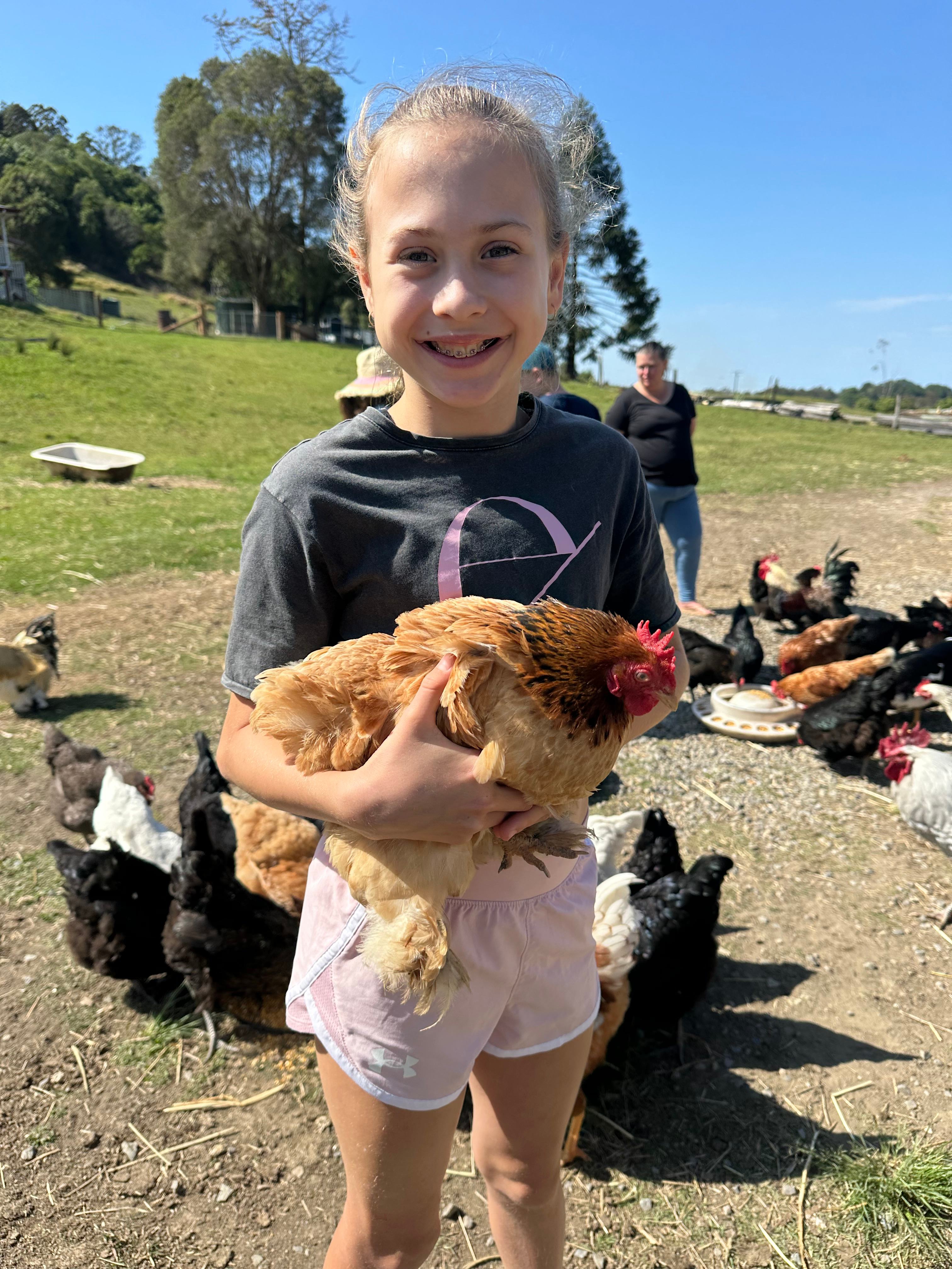 Chicken whisperer 