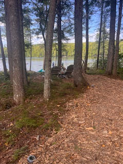 Solar lighted path to the dock