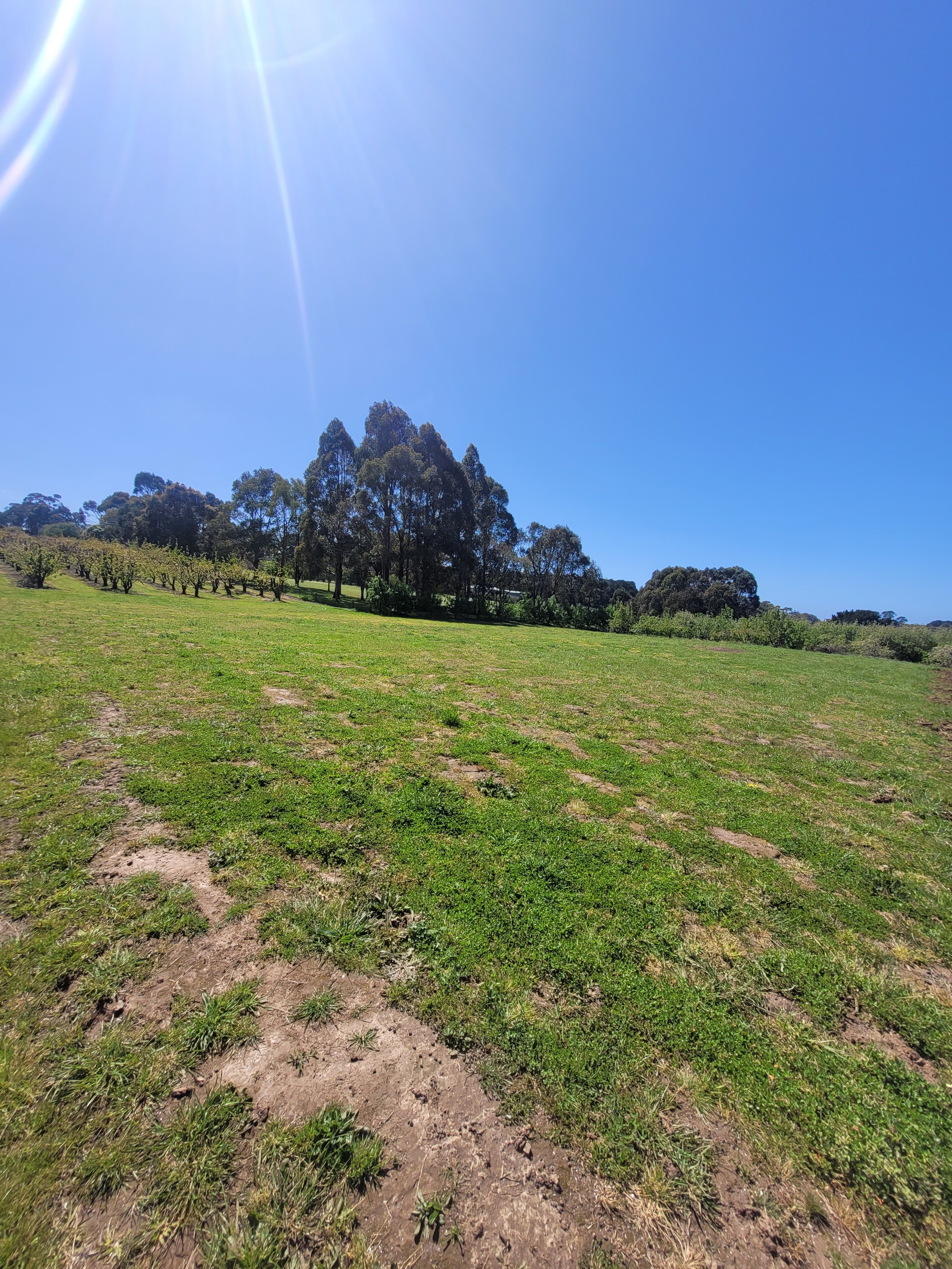 Red Hill Orchard Farm Stay