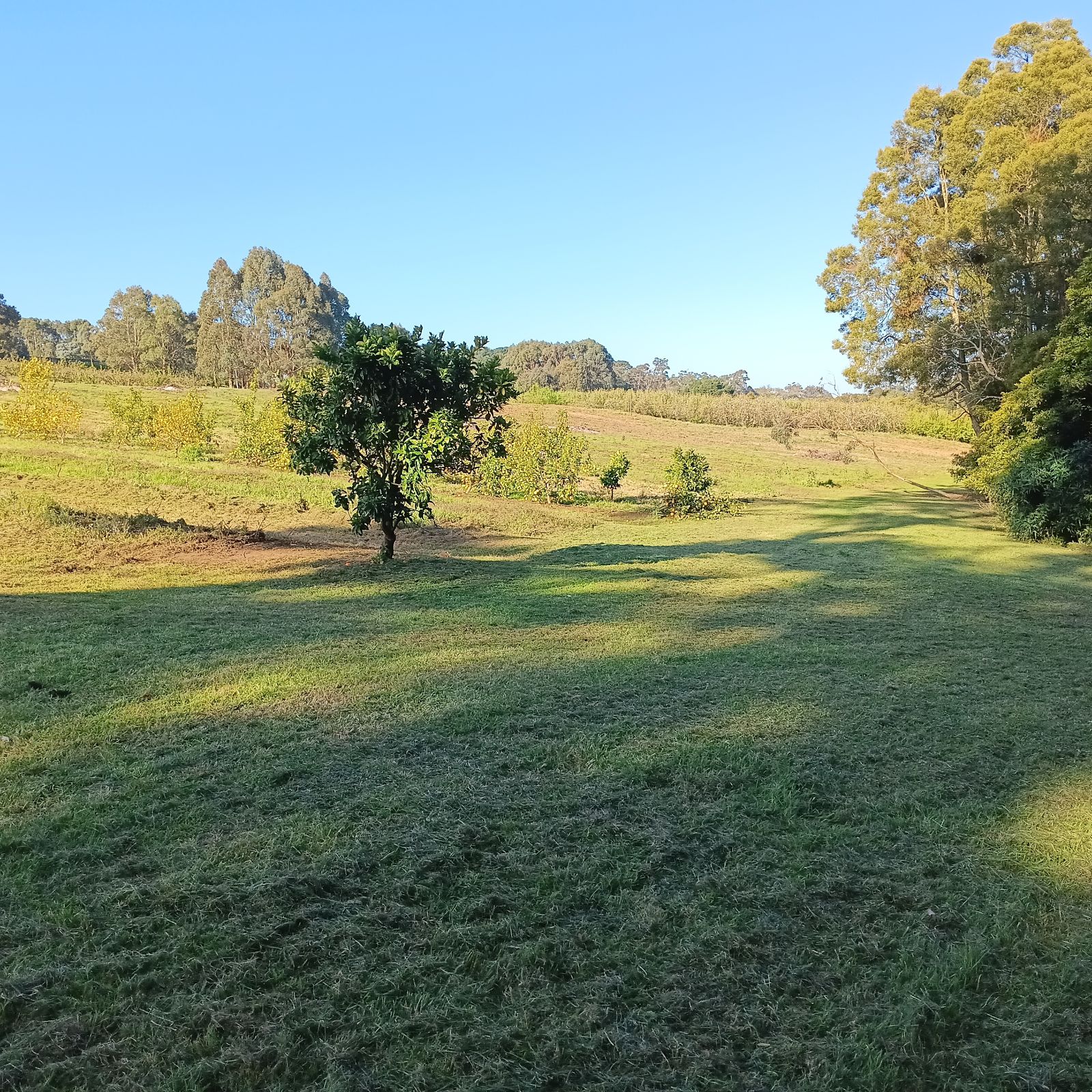 Red Hill Orchard Farm Stay