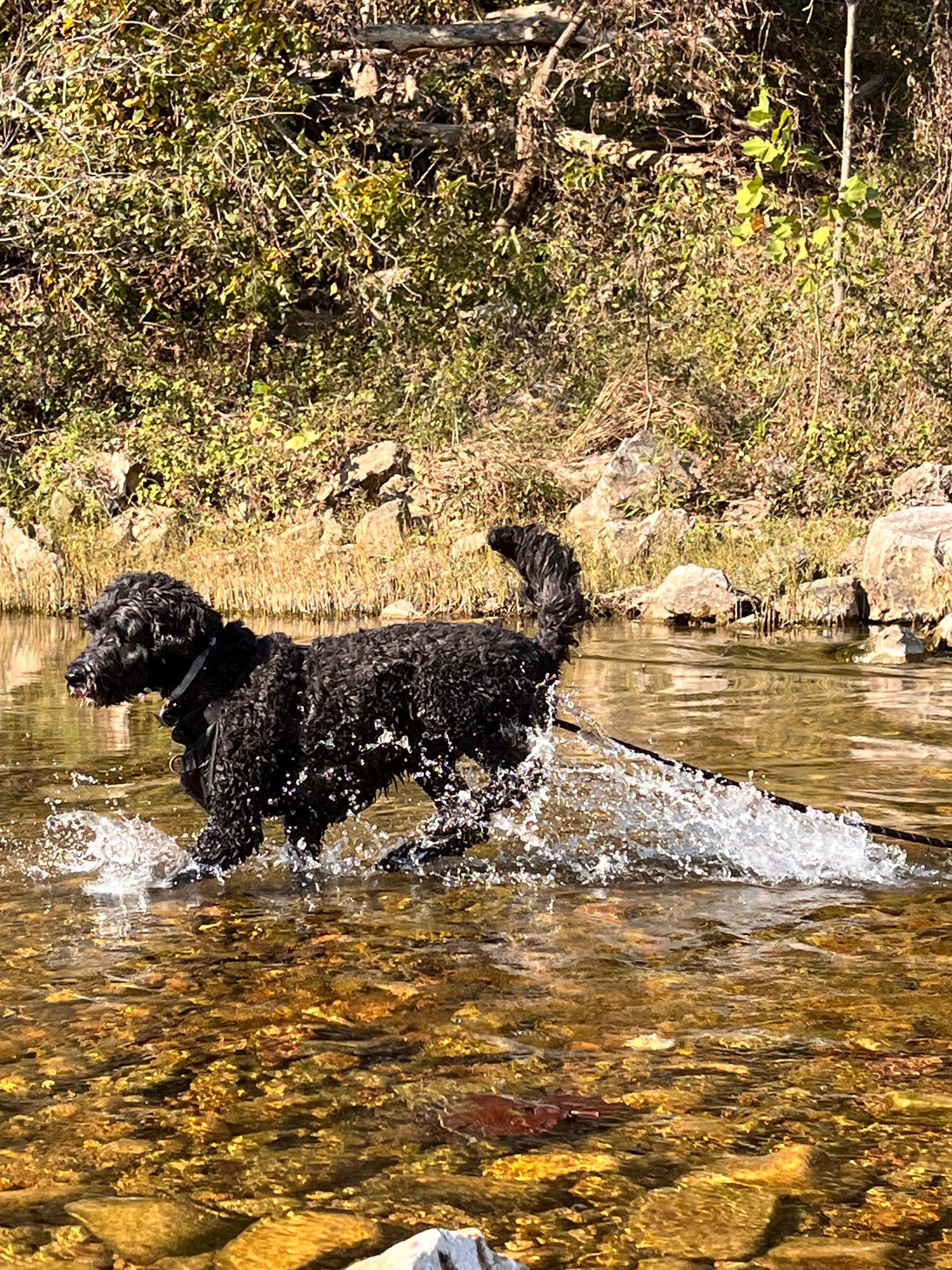 Blue Spring near the farm