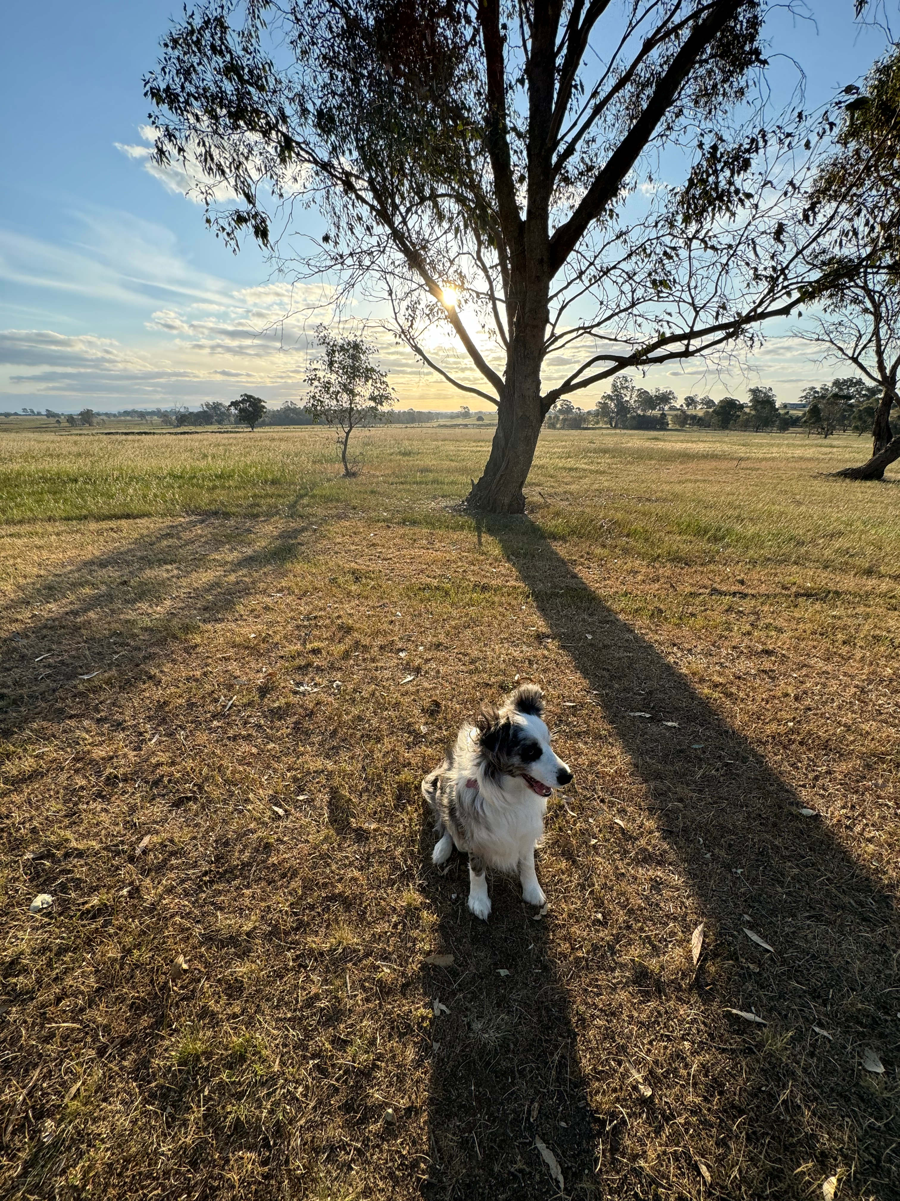 Sunset Stargazing Private Camp