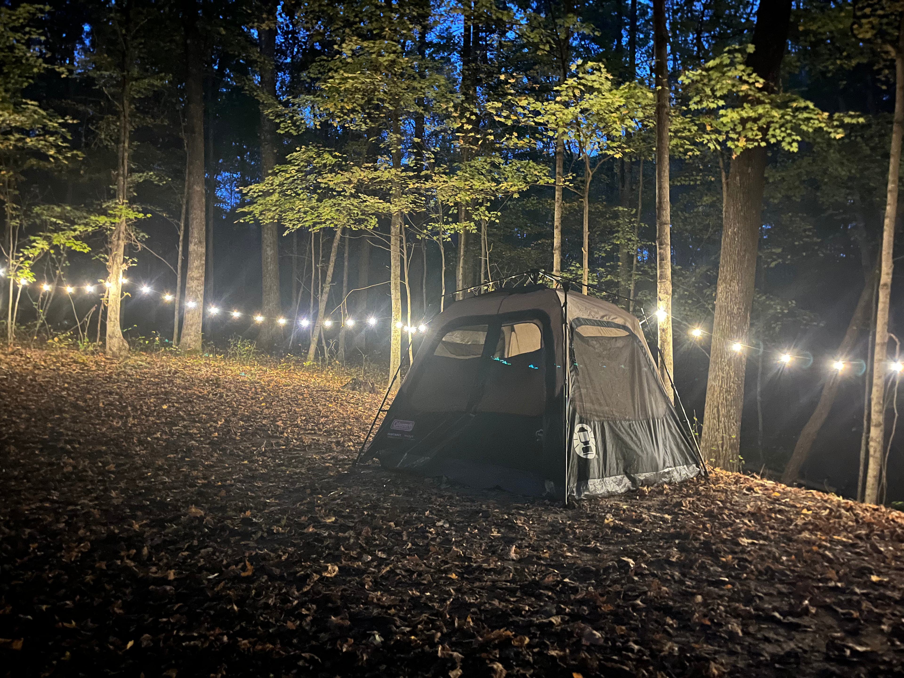 My Spot-Private Forest Campsite