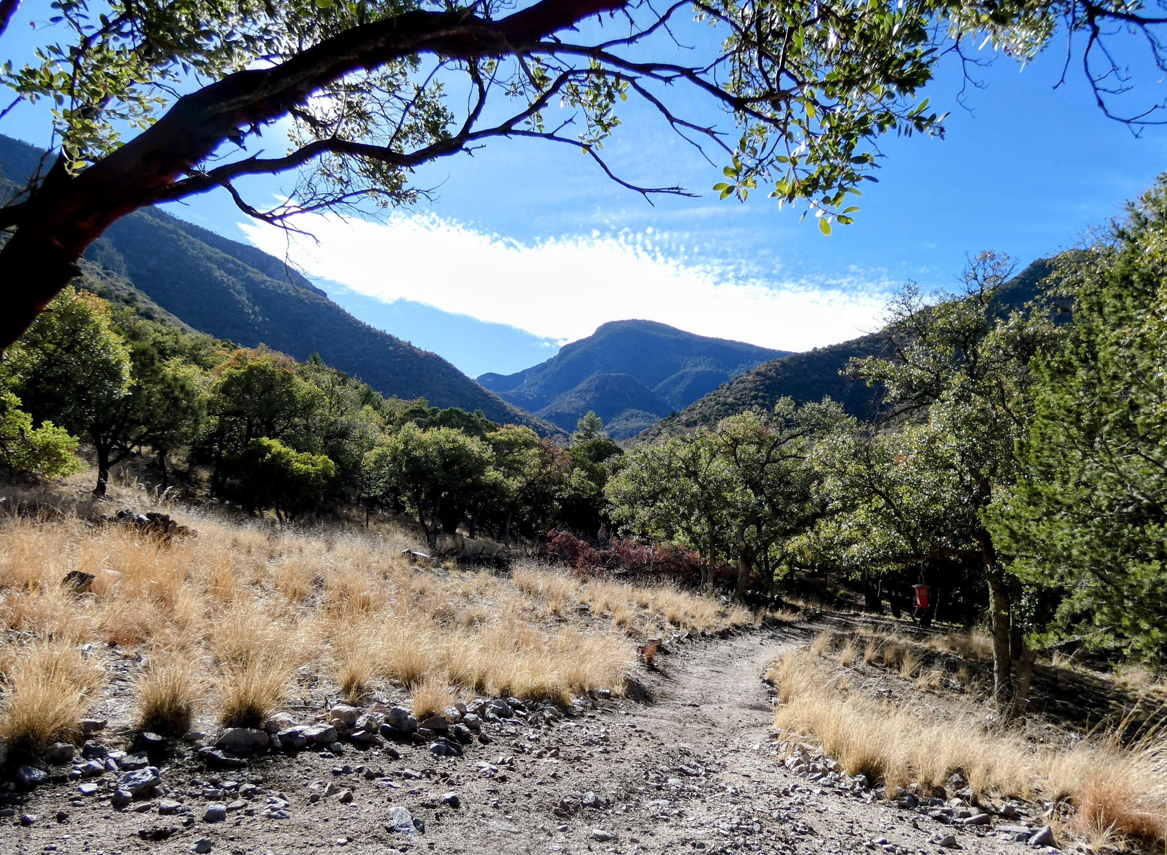 Ramsey Canyon Cabins&Bird Sanctuary