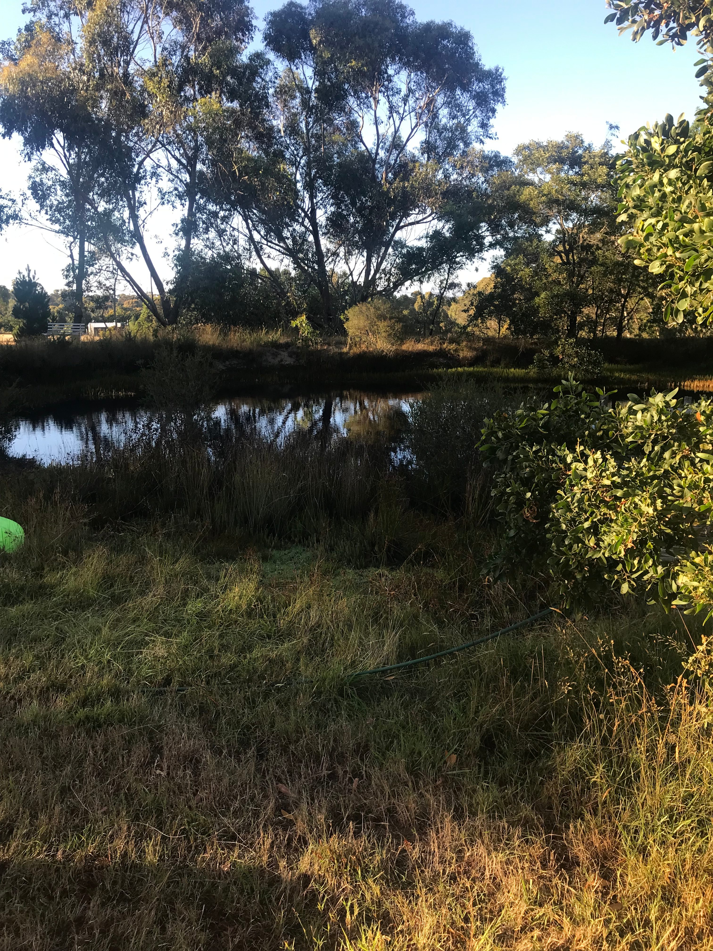 Bell Tent - Granite Hill