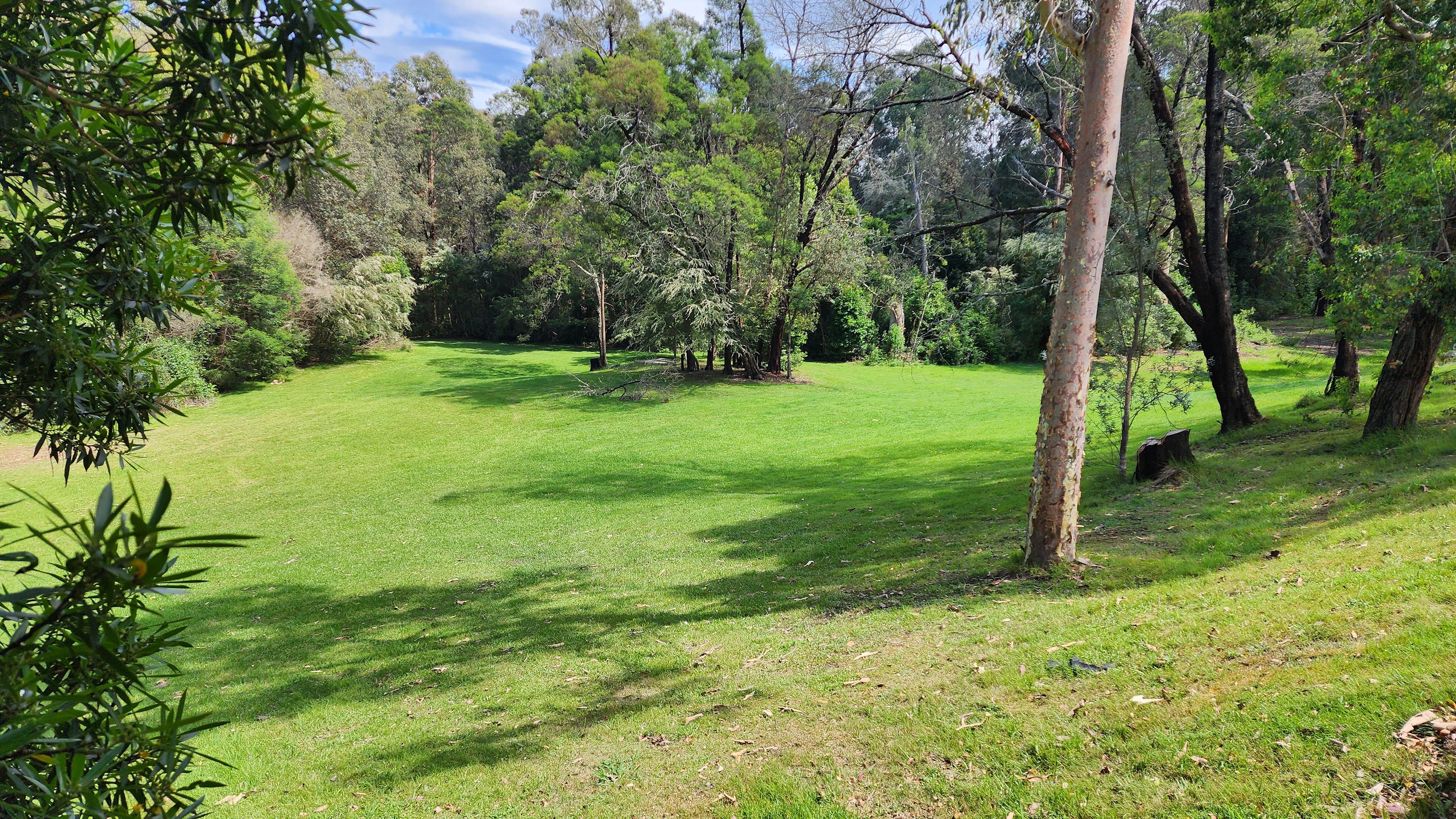 The Old Blackwood Mill