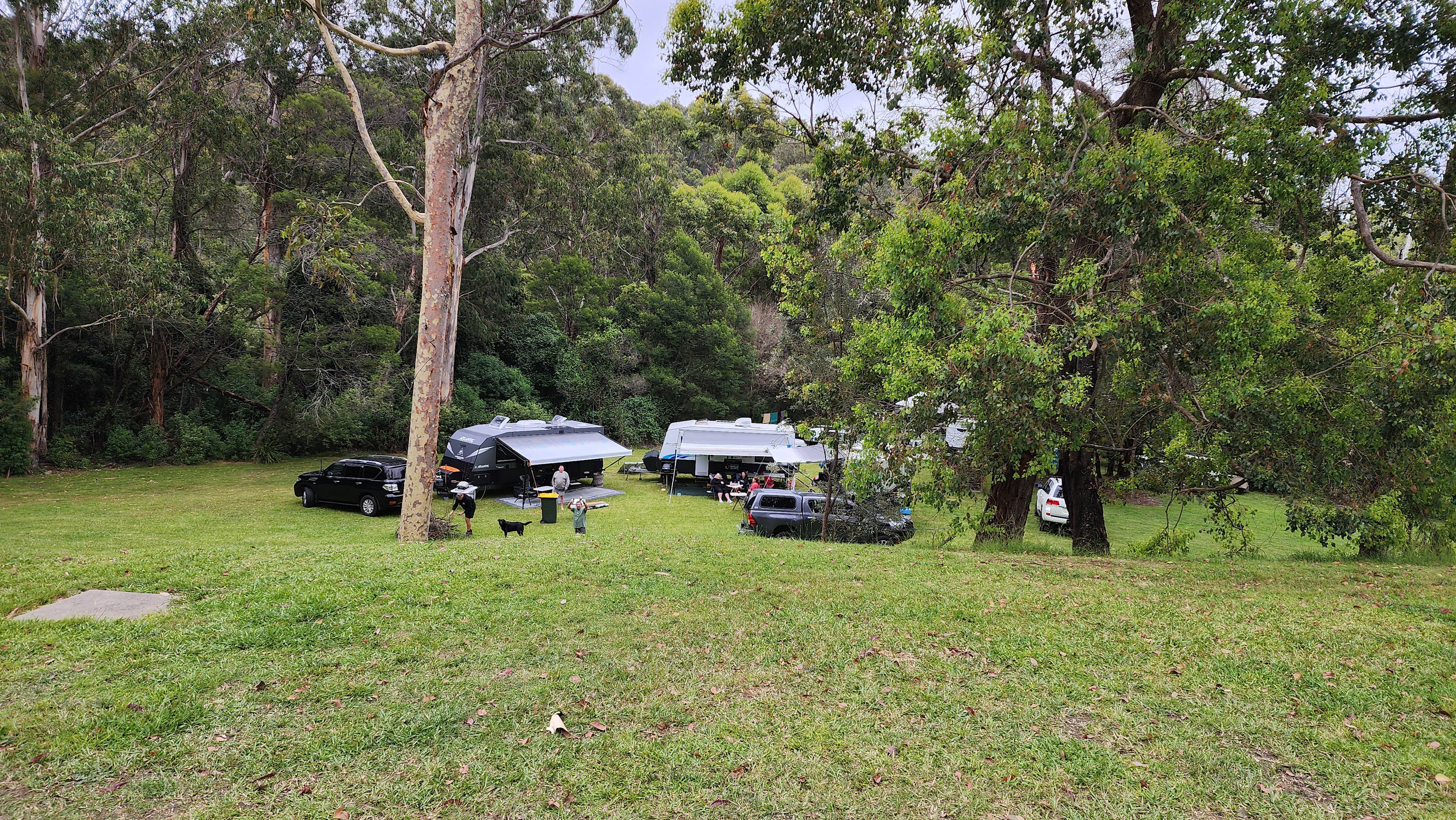 The Old Blackwood Mill