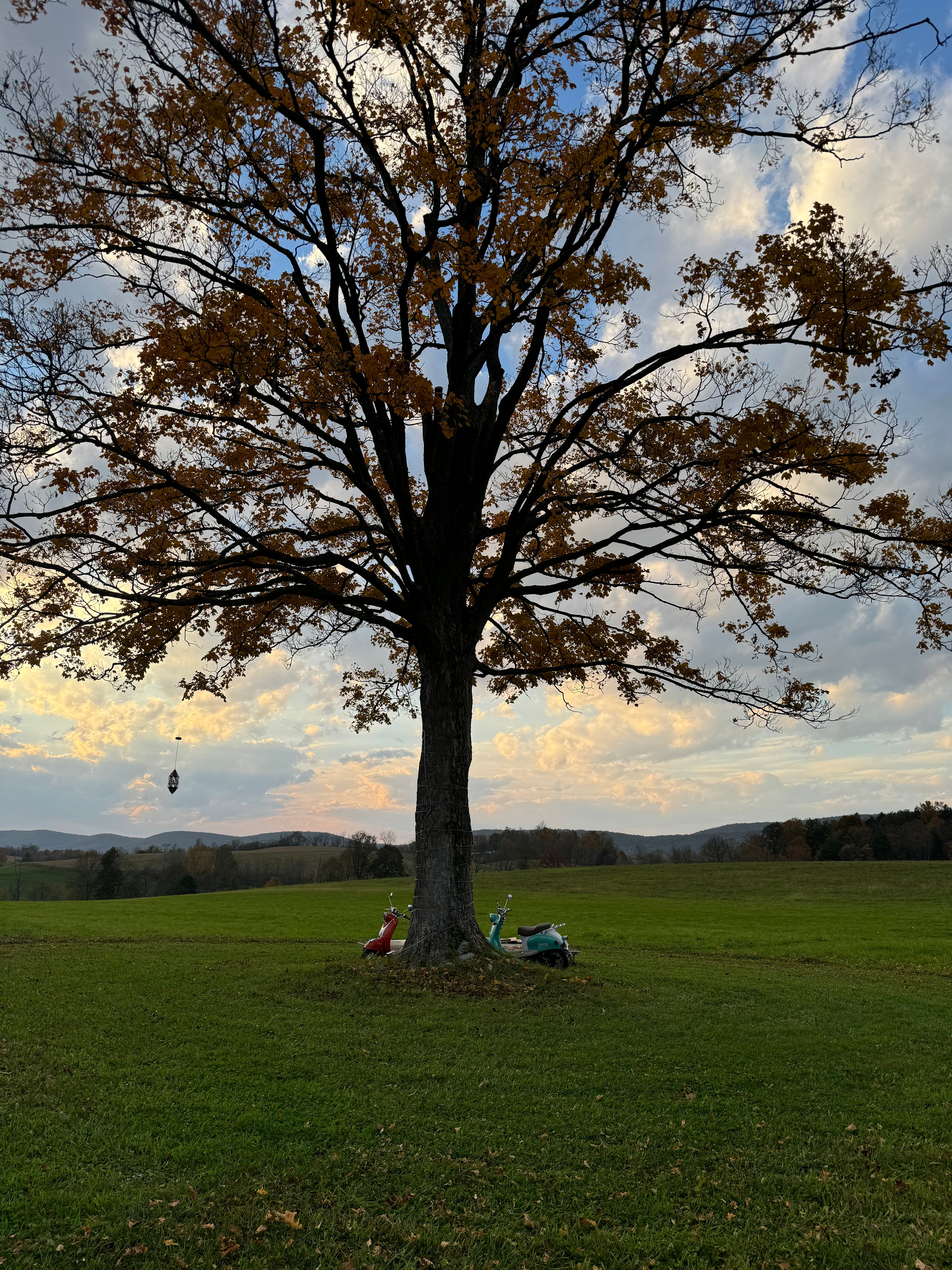 Winkelblech Fields