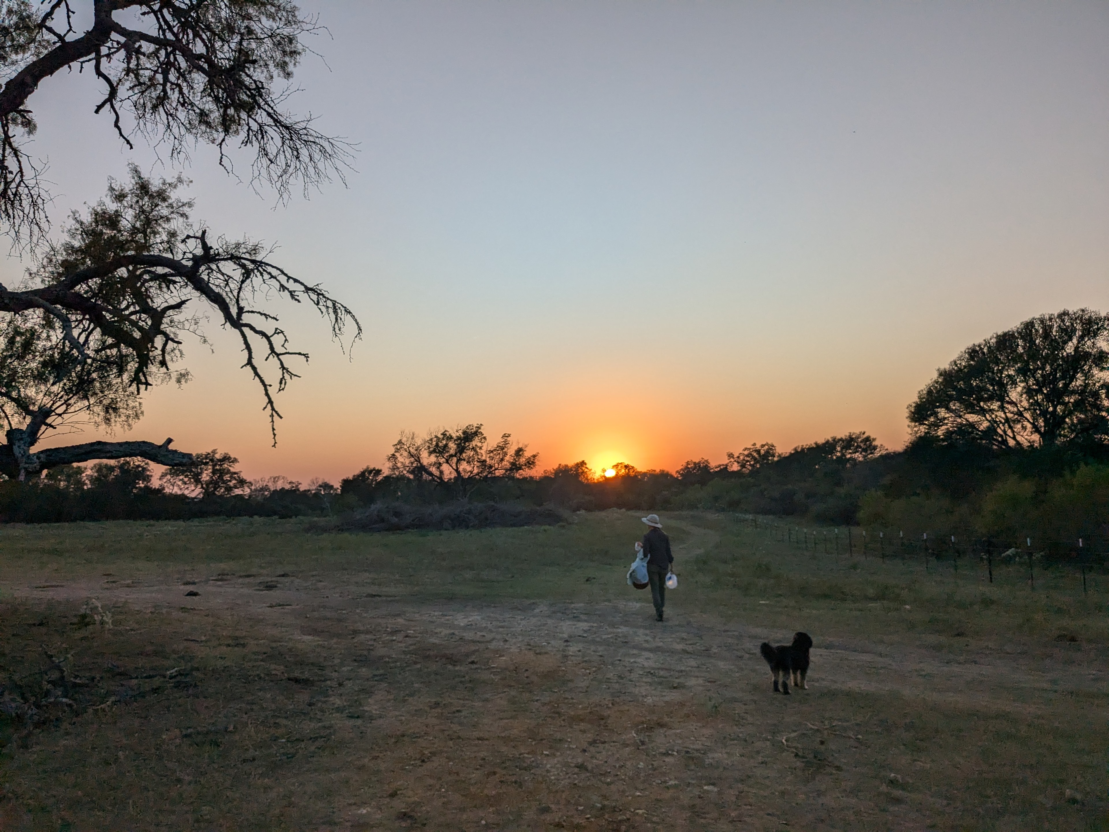 Secluded Birding on Lone Oak Farm