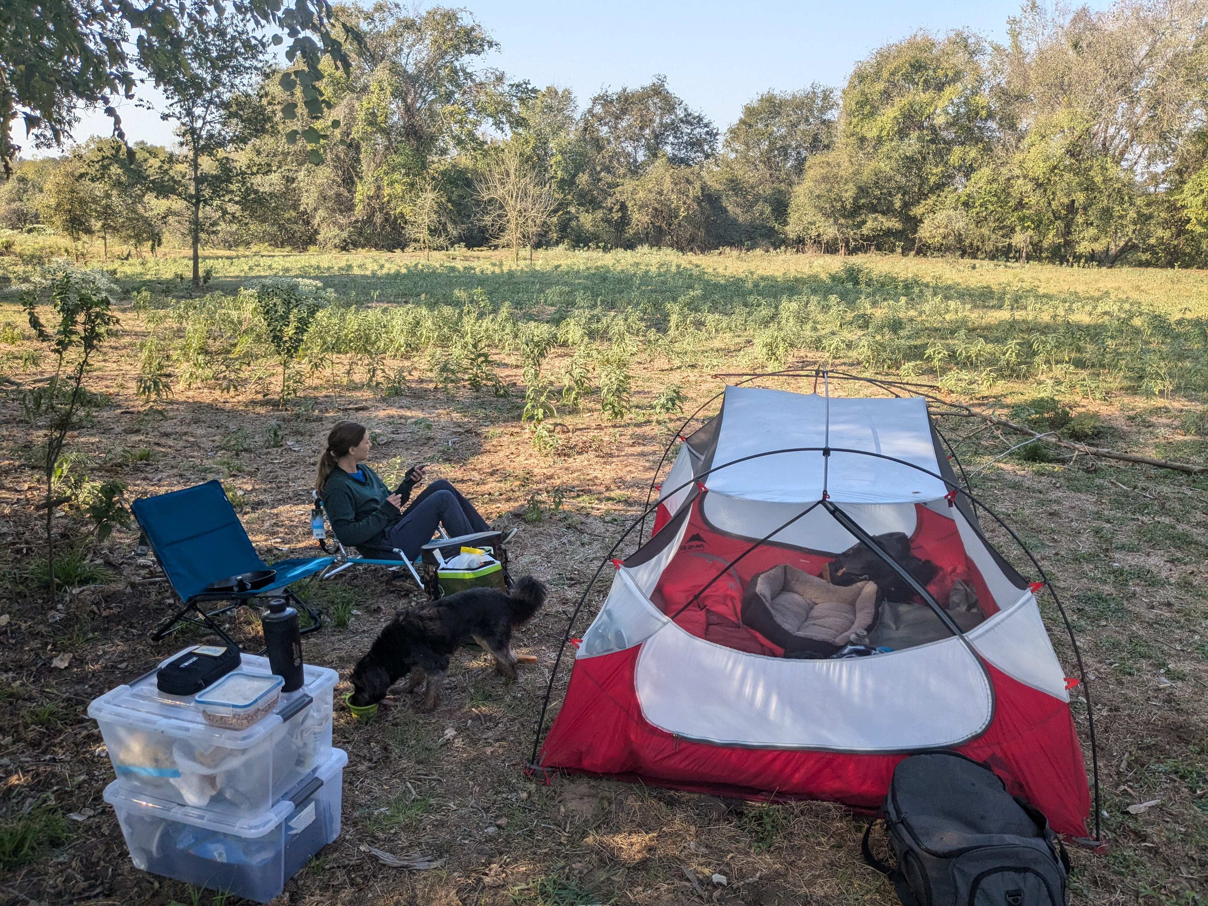 Secluded Birding on Lone Oak Farm