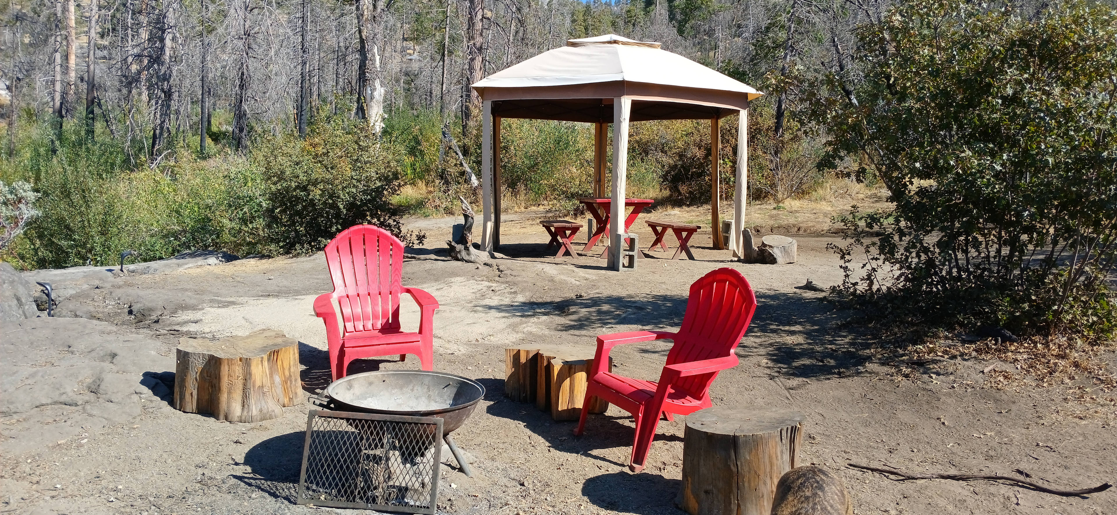 Musick Creek Falls  by Shaver Lake