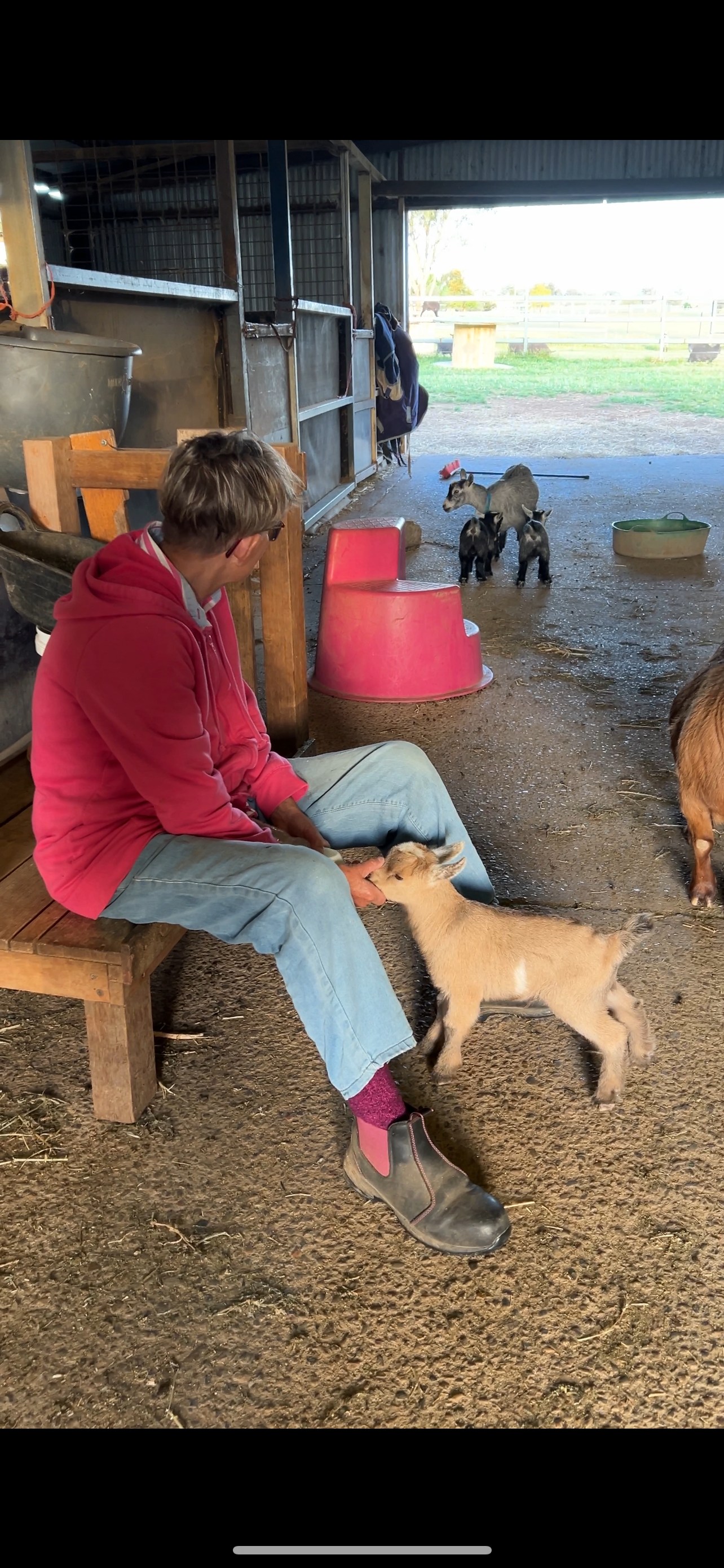 Sheffield B&B Farm stay Tamworth