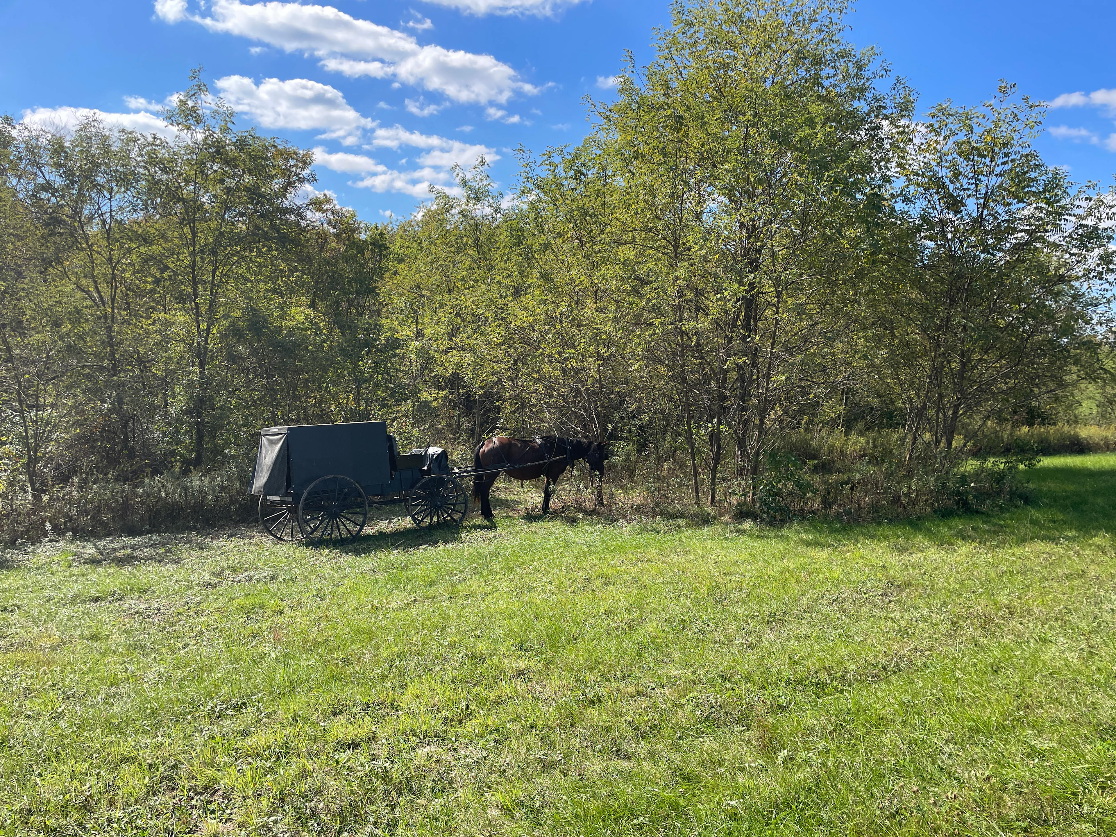Amish Farm Campsite at Chesterhill