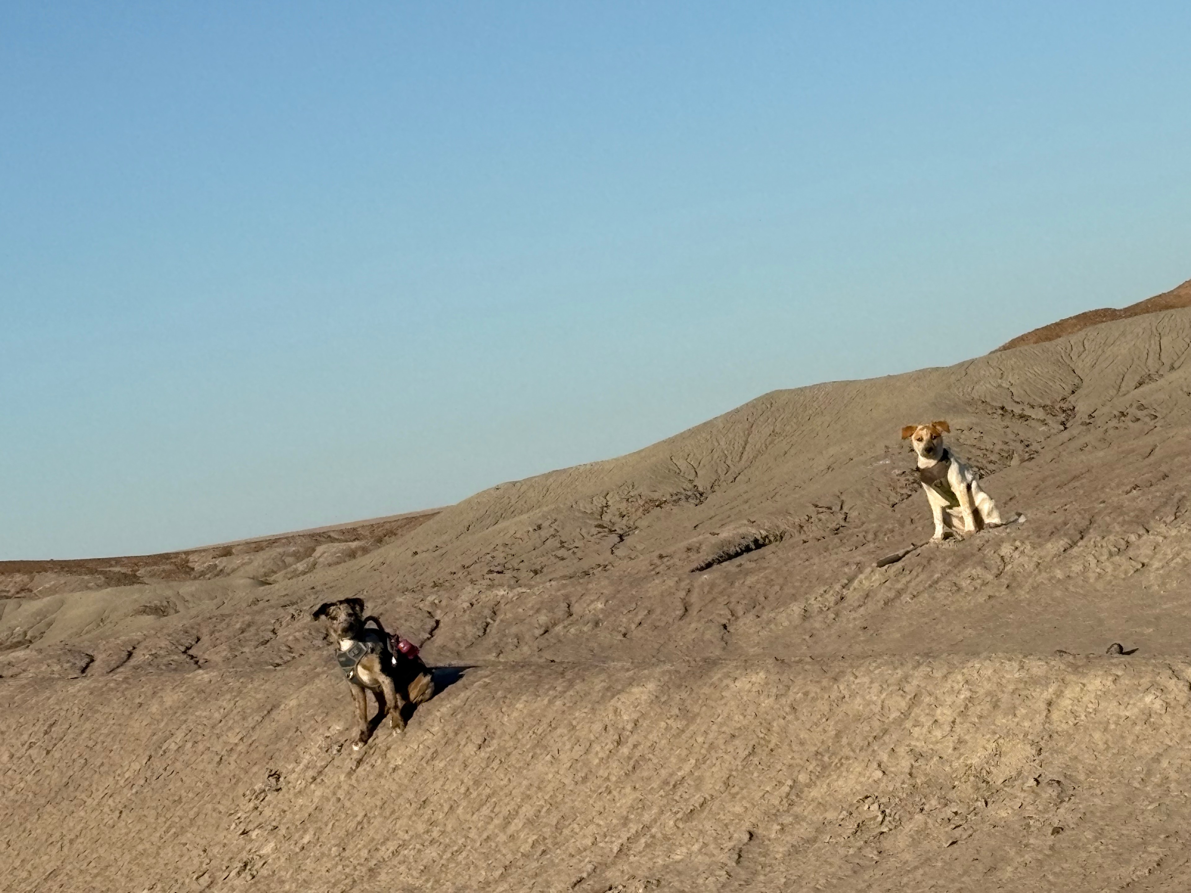 Stone Soup Desert Views