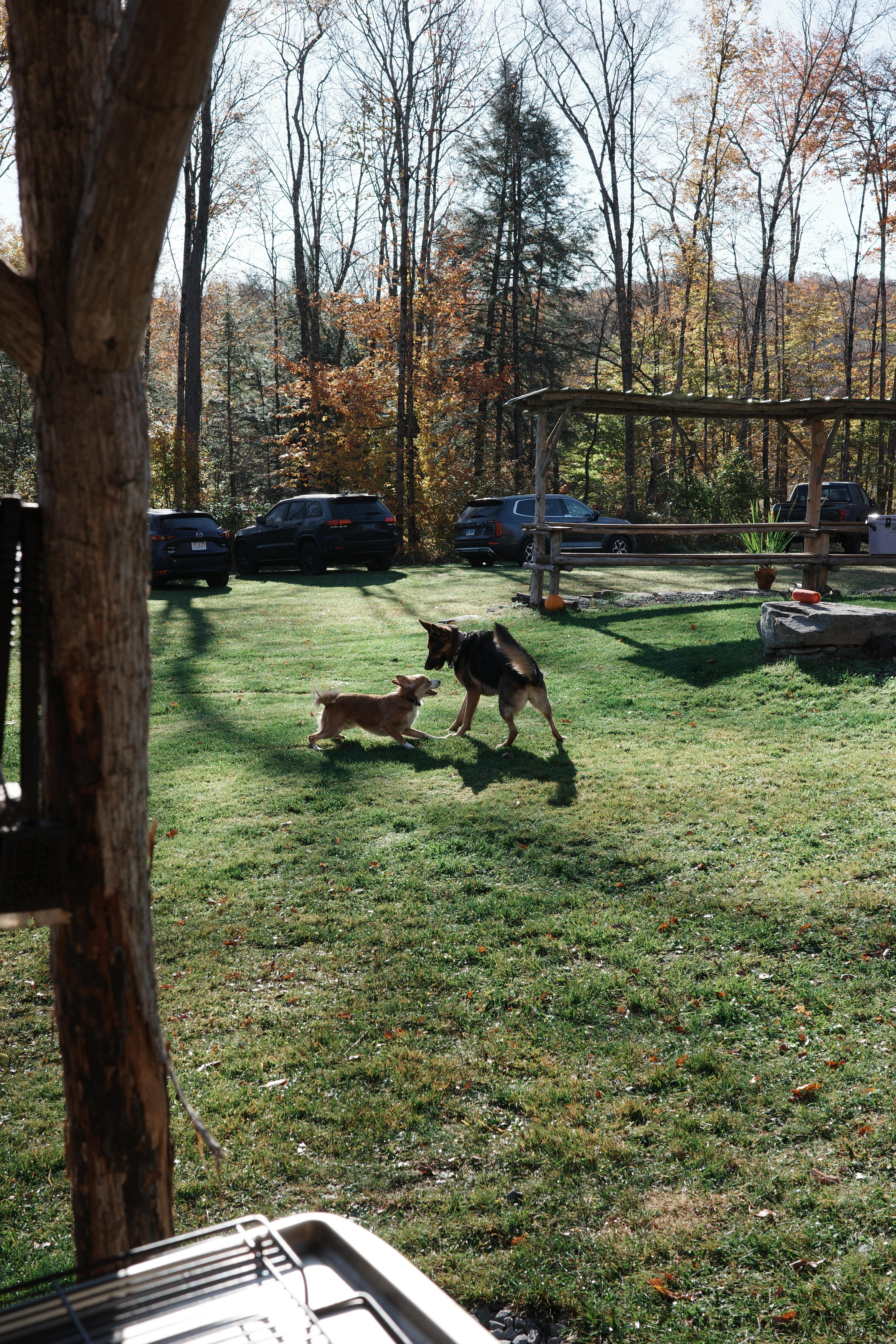 Camp Handsome Hollow