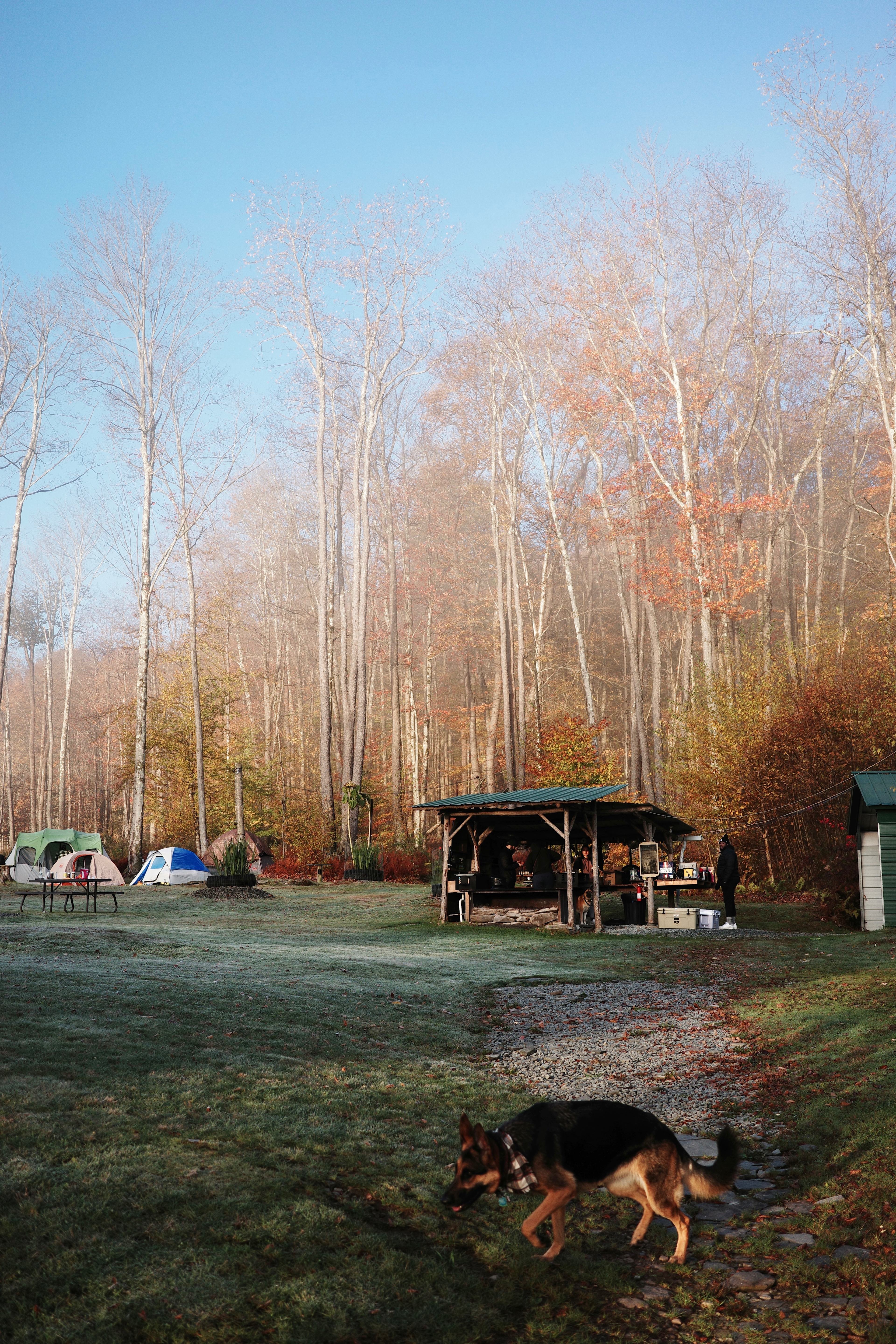 Camp Handsome Hollow