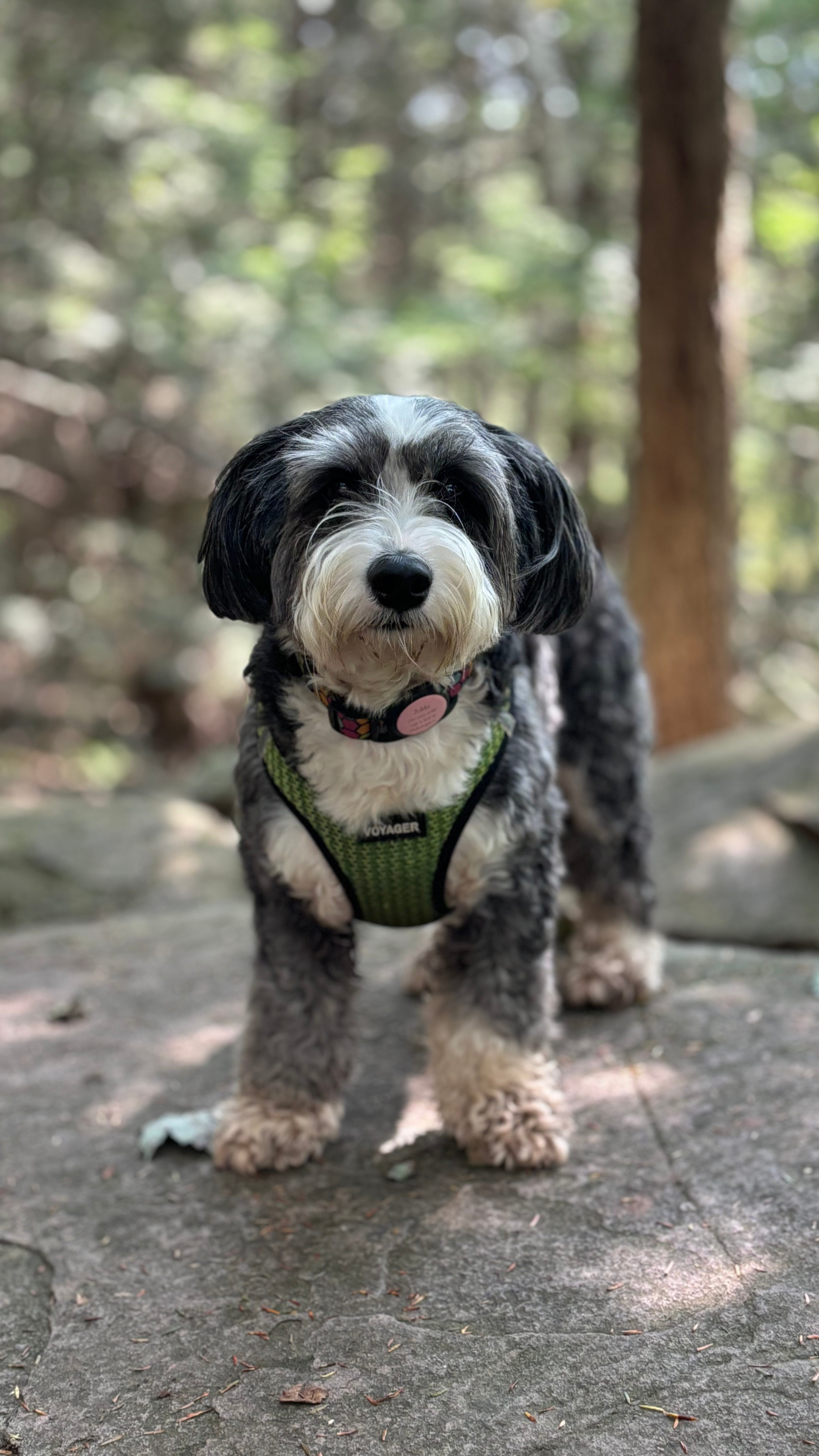 West Creek Campground