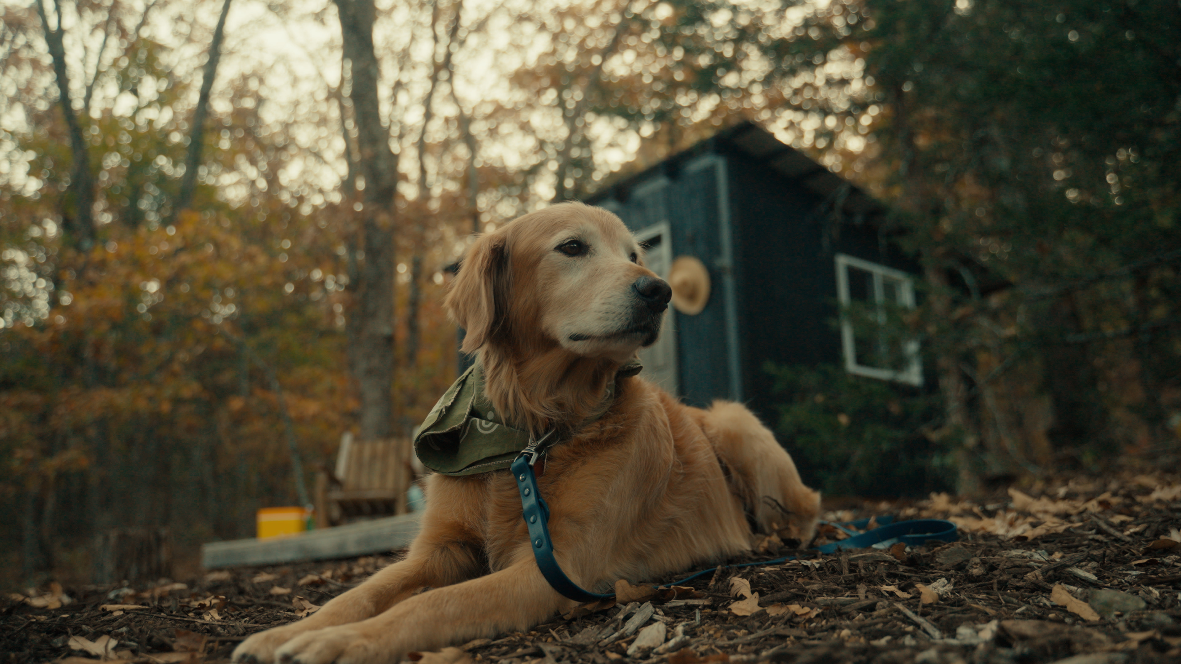 Lake Wilson Retreat 🌲