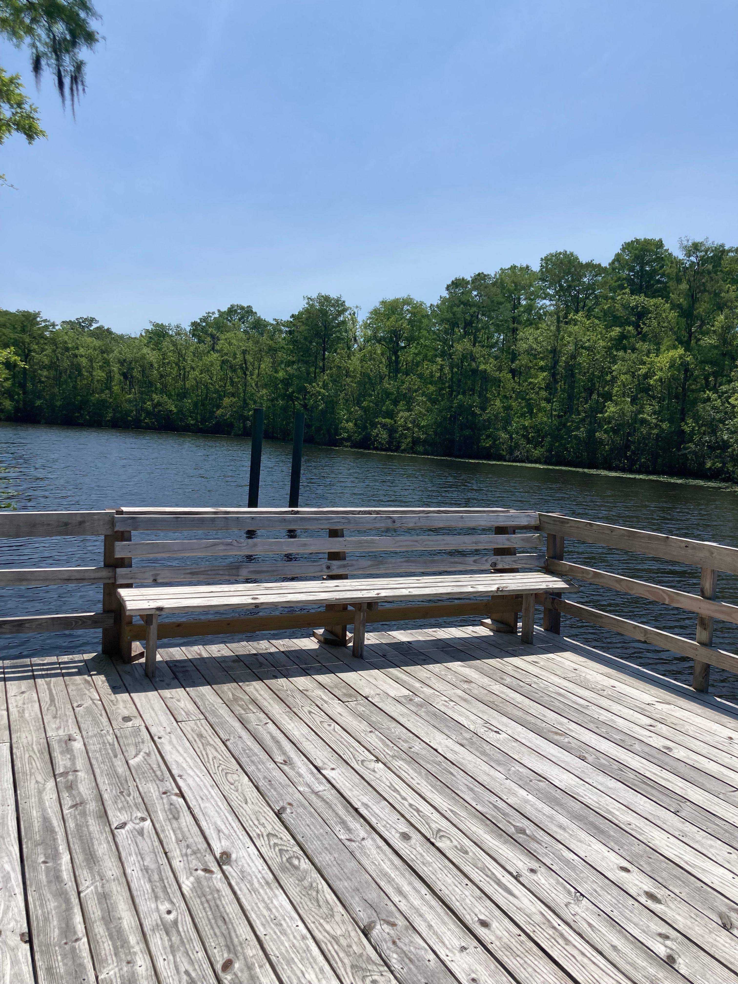 Camp Near Wilmington